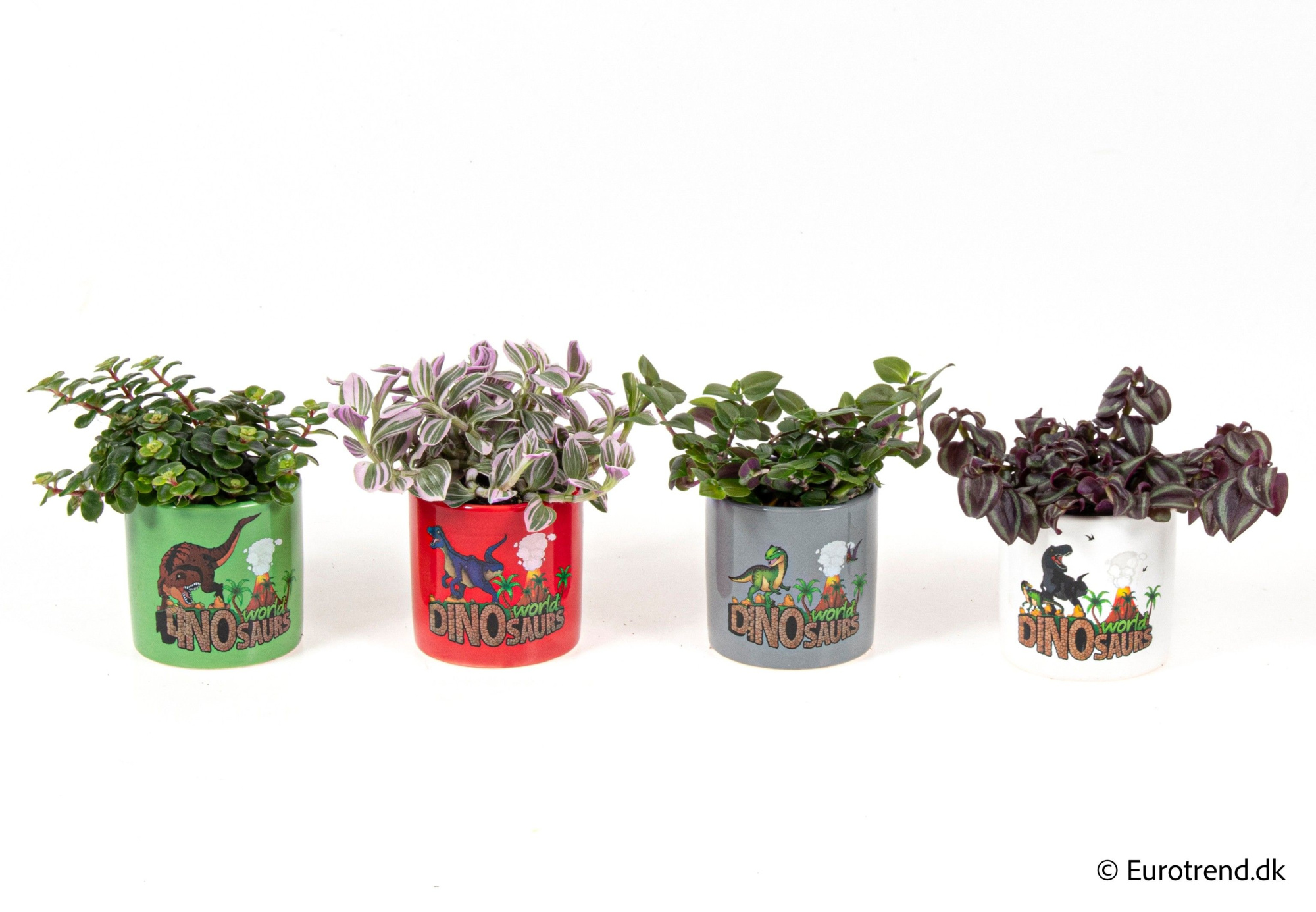 Green mix in dino ceramic - Spring, Summer & Autumn 2025, D 6 cm