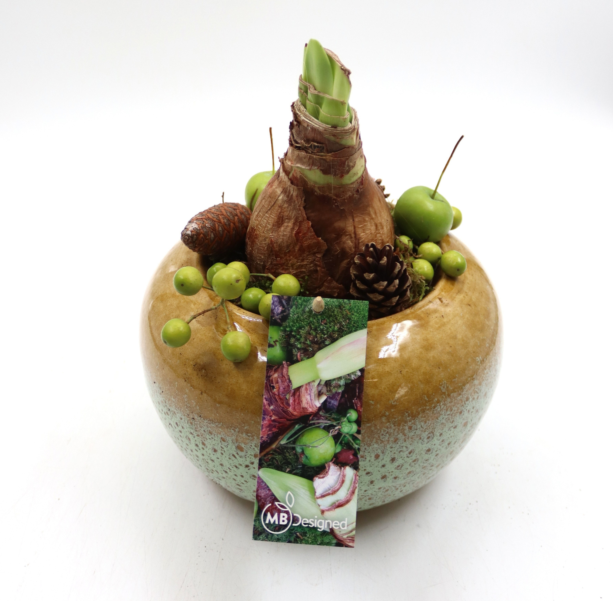 Amaryllis, luxe keramiek bol, D 19 cm