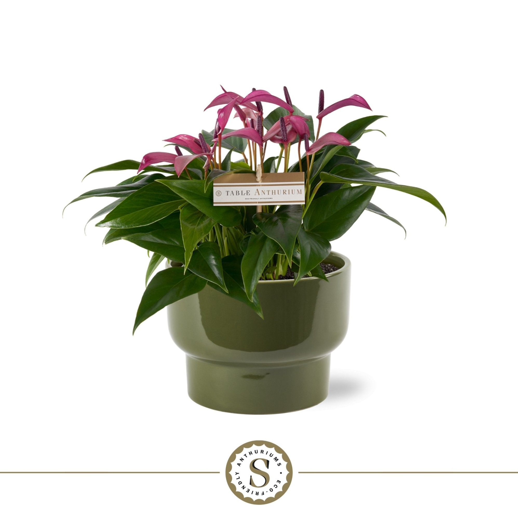 Athene Keramiek Green - Zizou, D 17 cm