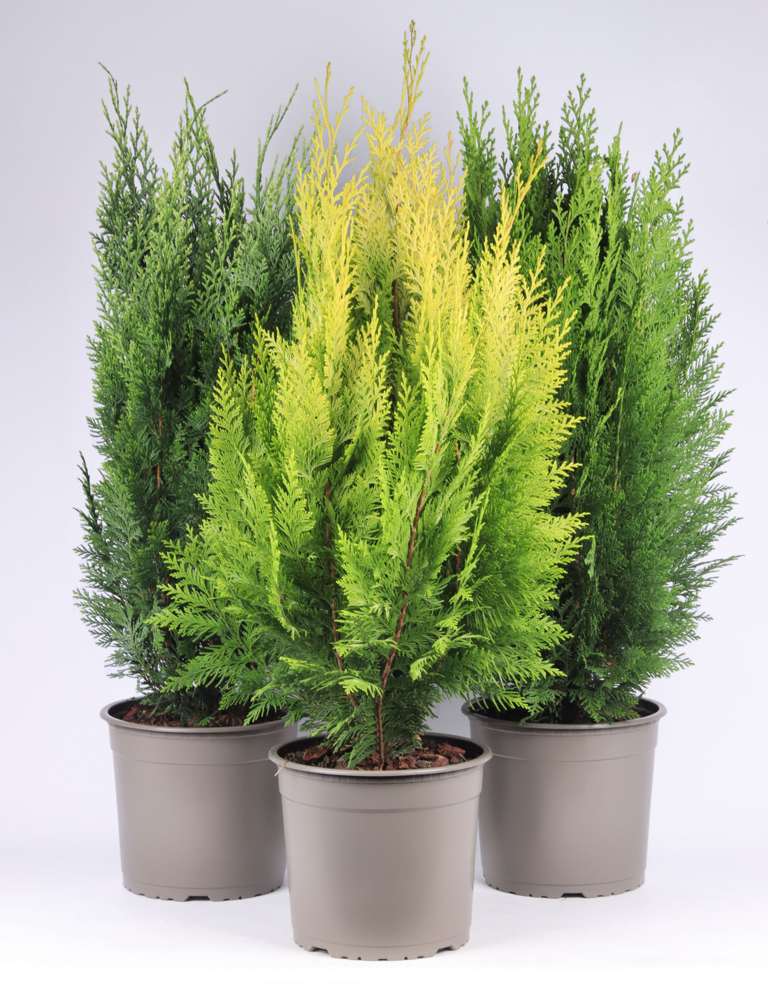 Opgaande mix P-23, D 23 cm