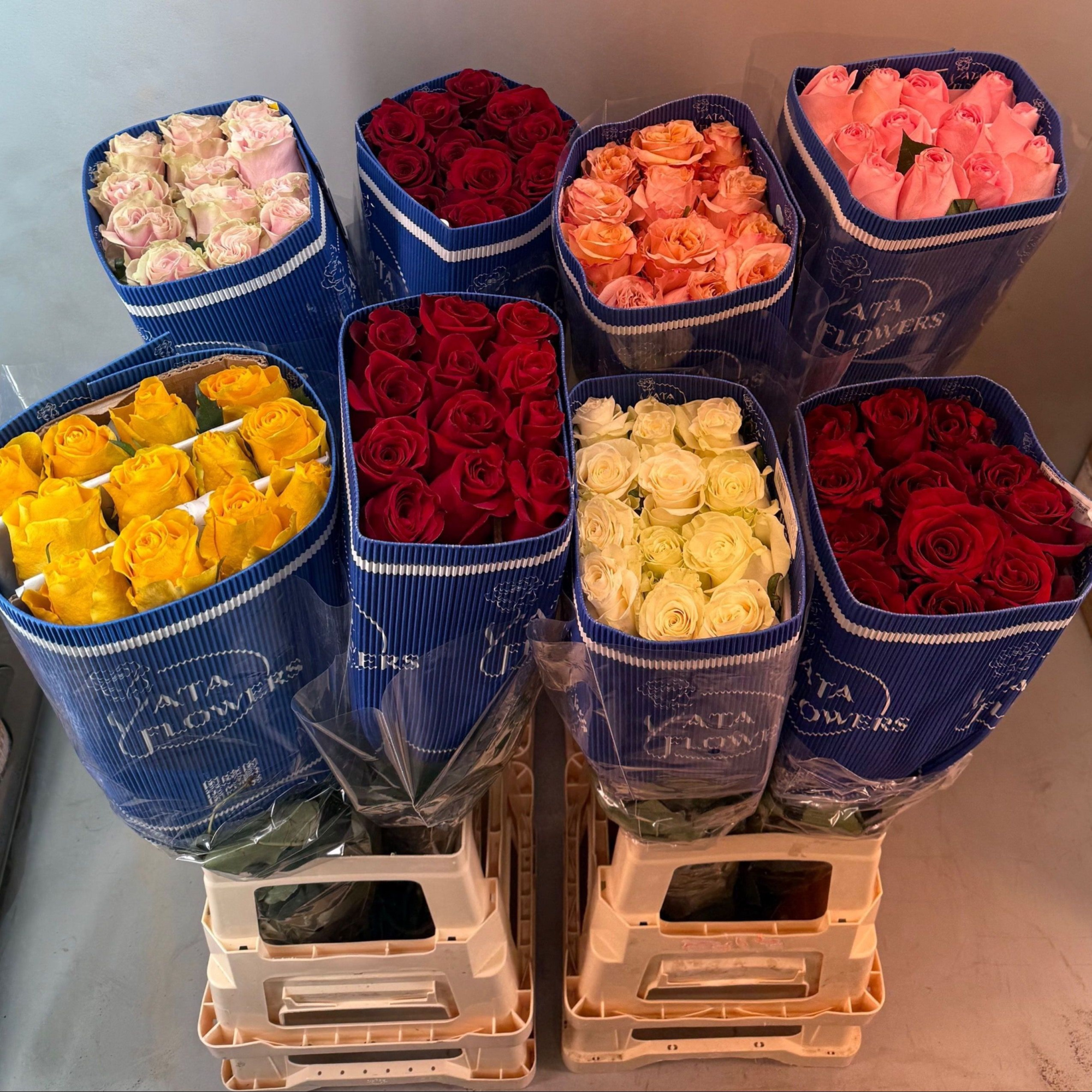 Роза од. Микс в баке 70, шт.