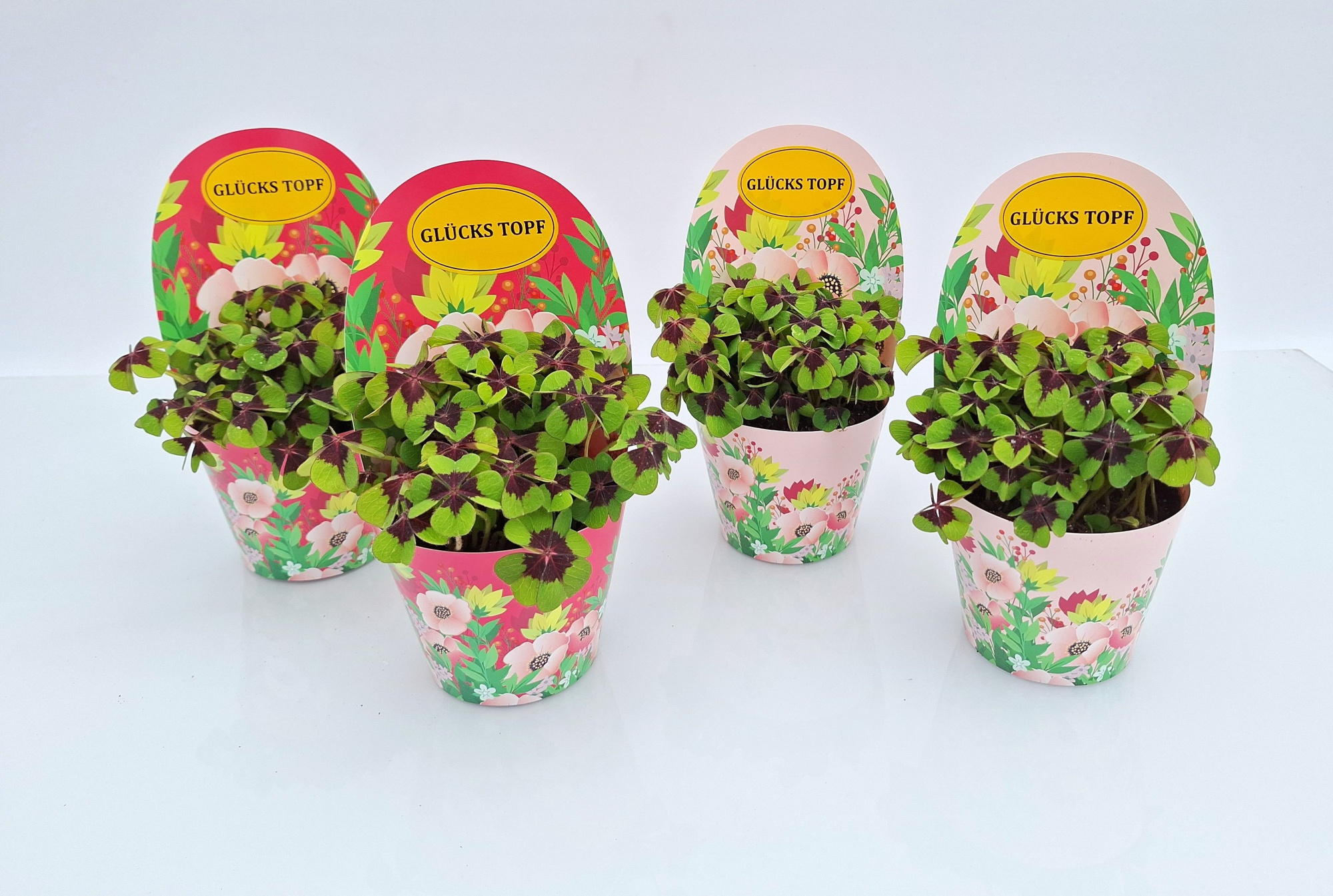 Gelukpotje Blosom Duits, D 9 cm