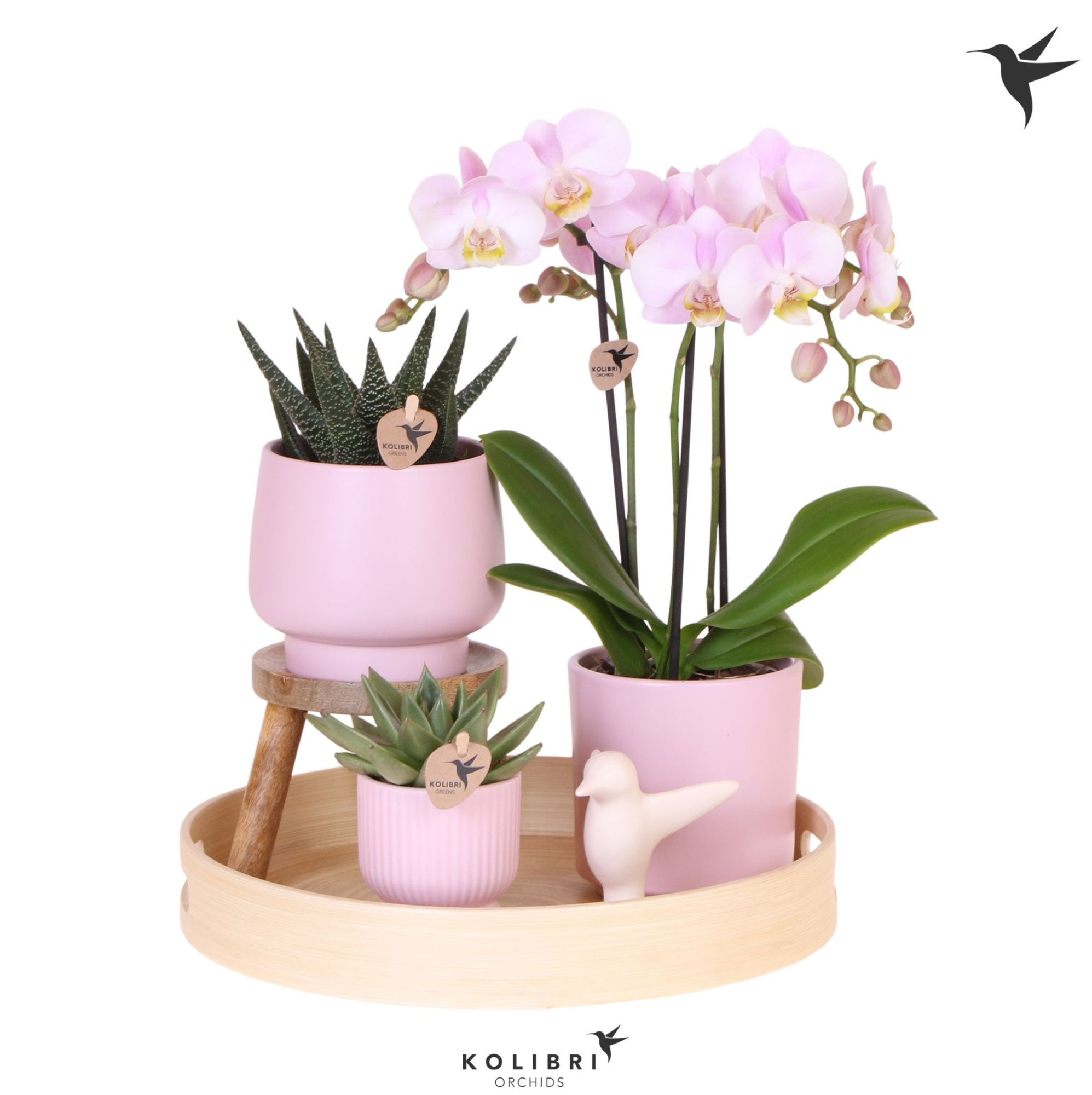 Kolibri Gift Set Love pink, D 30 cm
