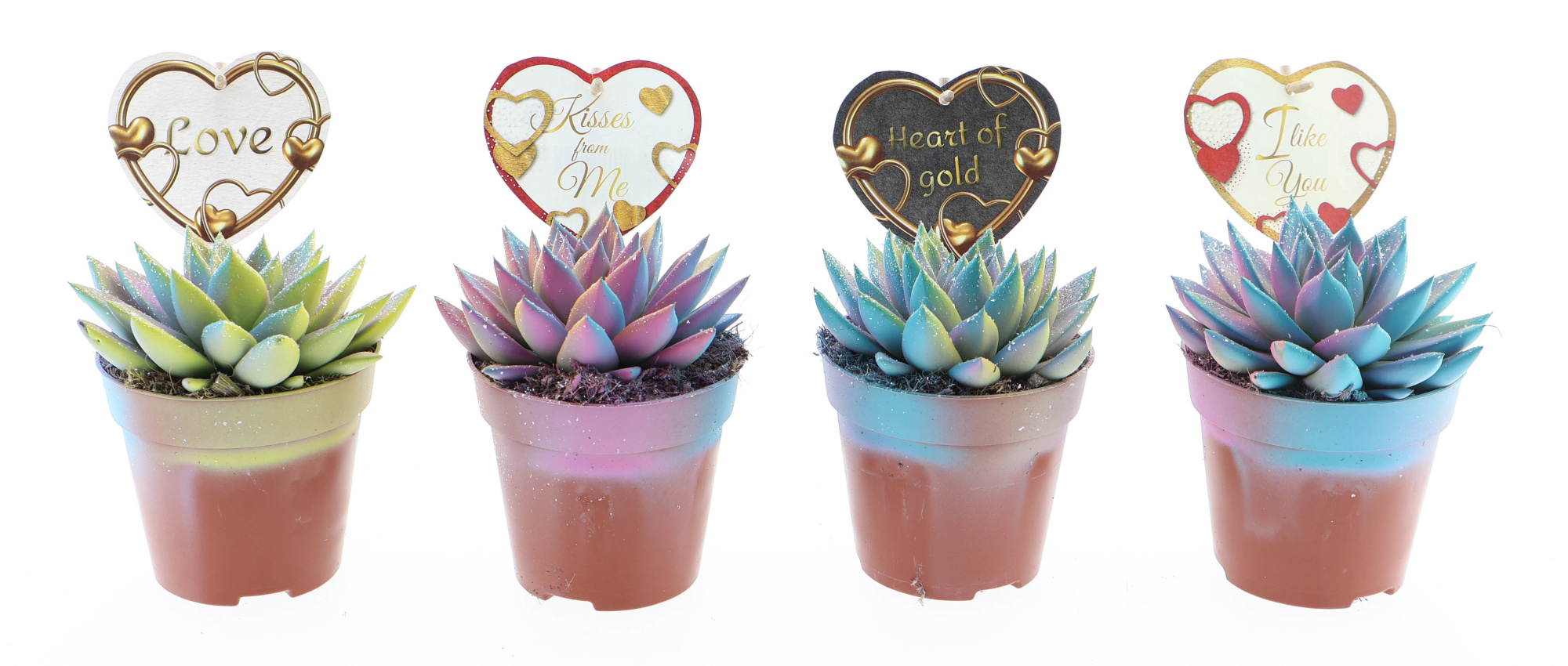 Miranda multi glitter + love etiket, D 12