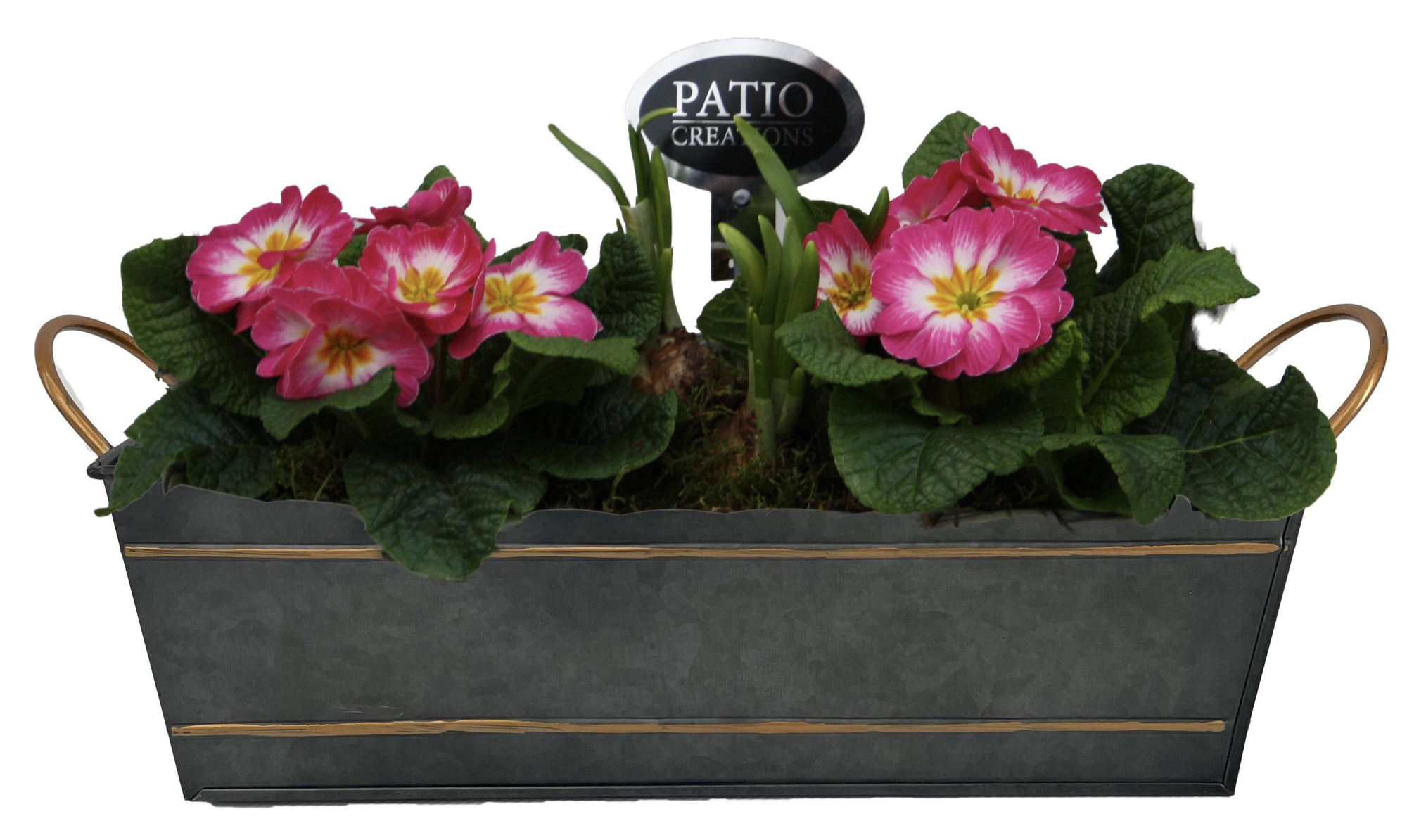 PRN838-9003 Primula en Narcis Sterre zink M, D 28