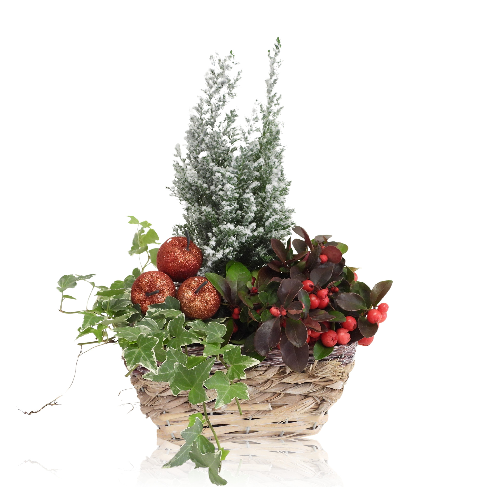 Arrangement Winter Specials in Mand Ovaal 21 cm, D 21