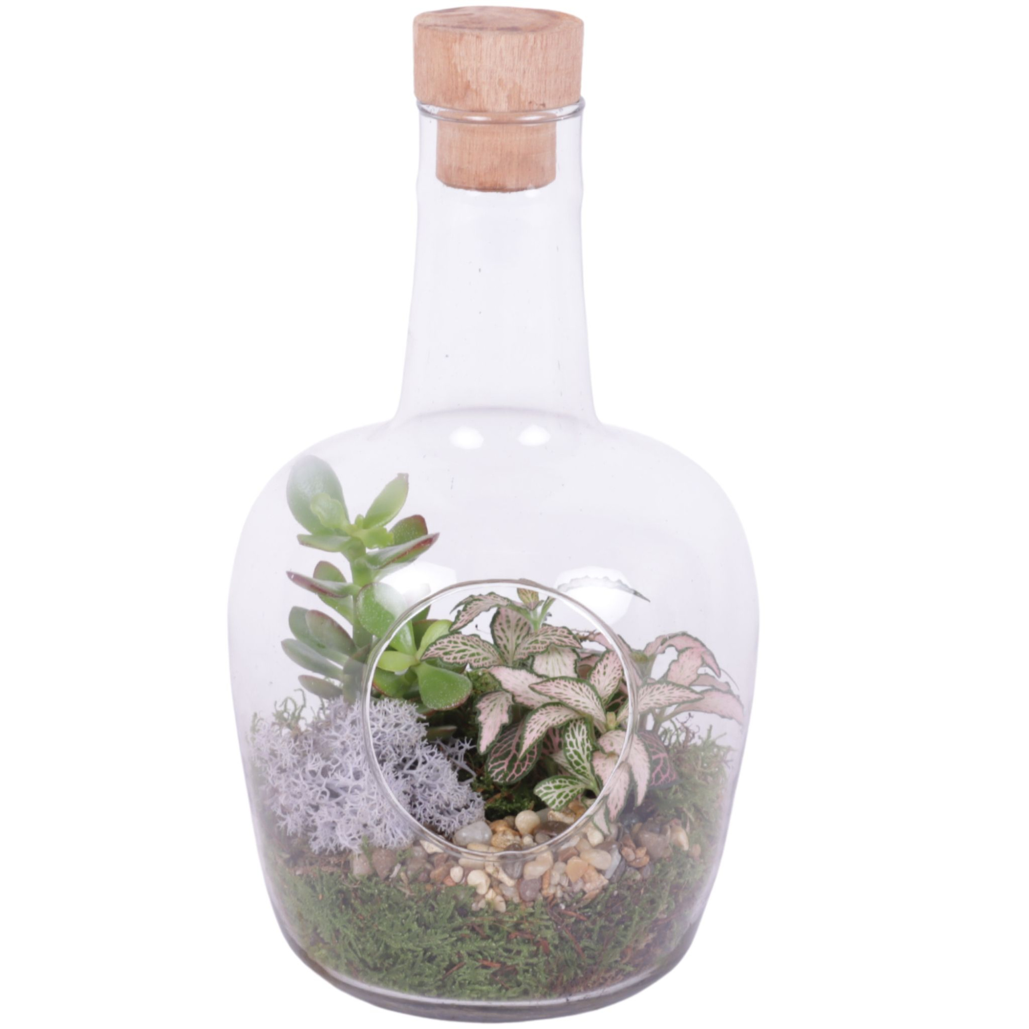 Yearround Arr. Indoor Glass Terrarium Ø18cm 2PP, D 18 cm