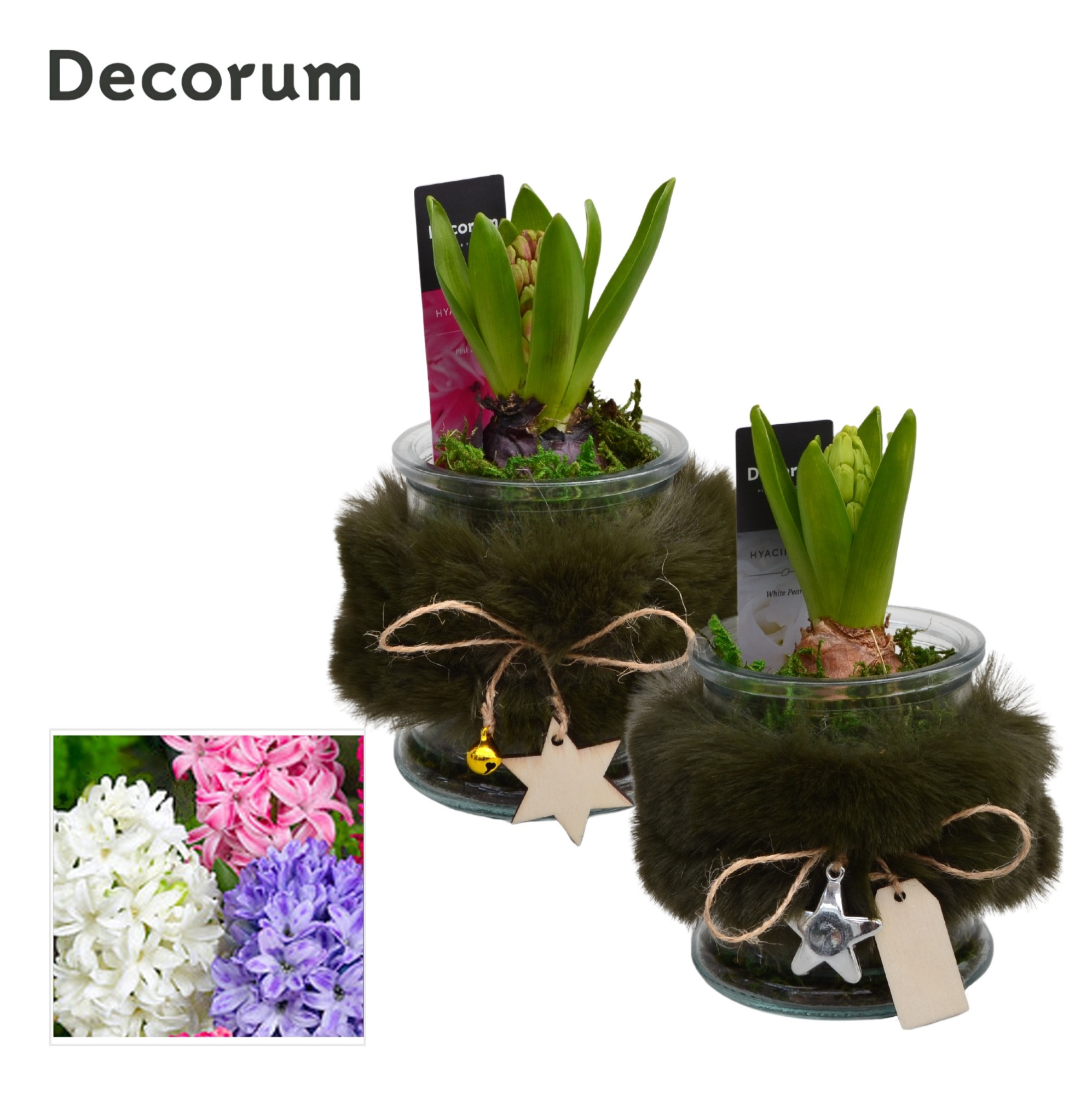 Hyacint Bont Mini HL15832 [PURE], D 9