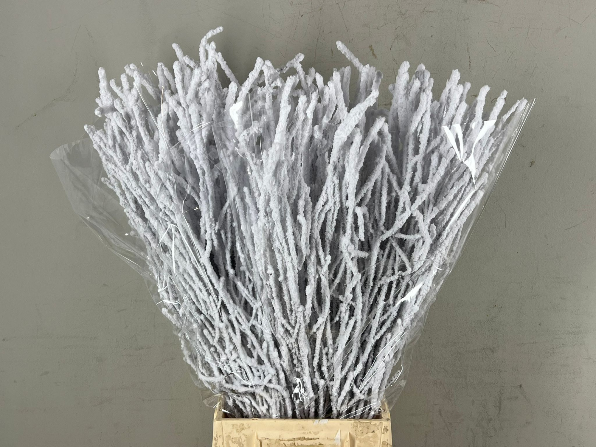 Беркетакен Овериг Крашеный (краш. ) 70, шт.