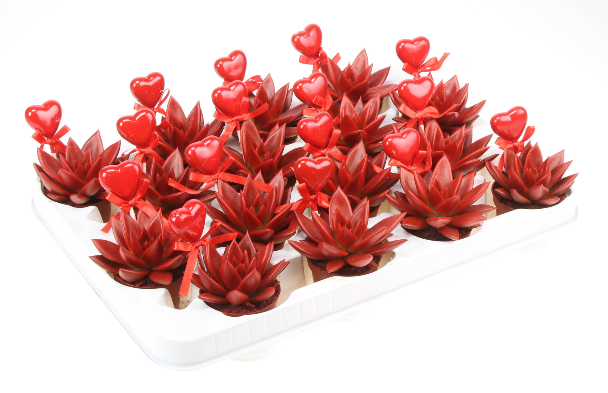 Miranda rood+hartje, D 6 cm