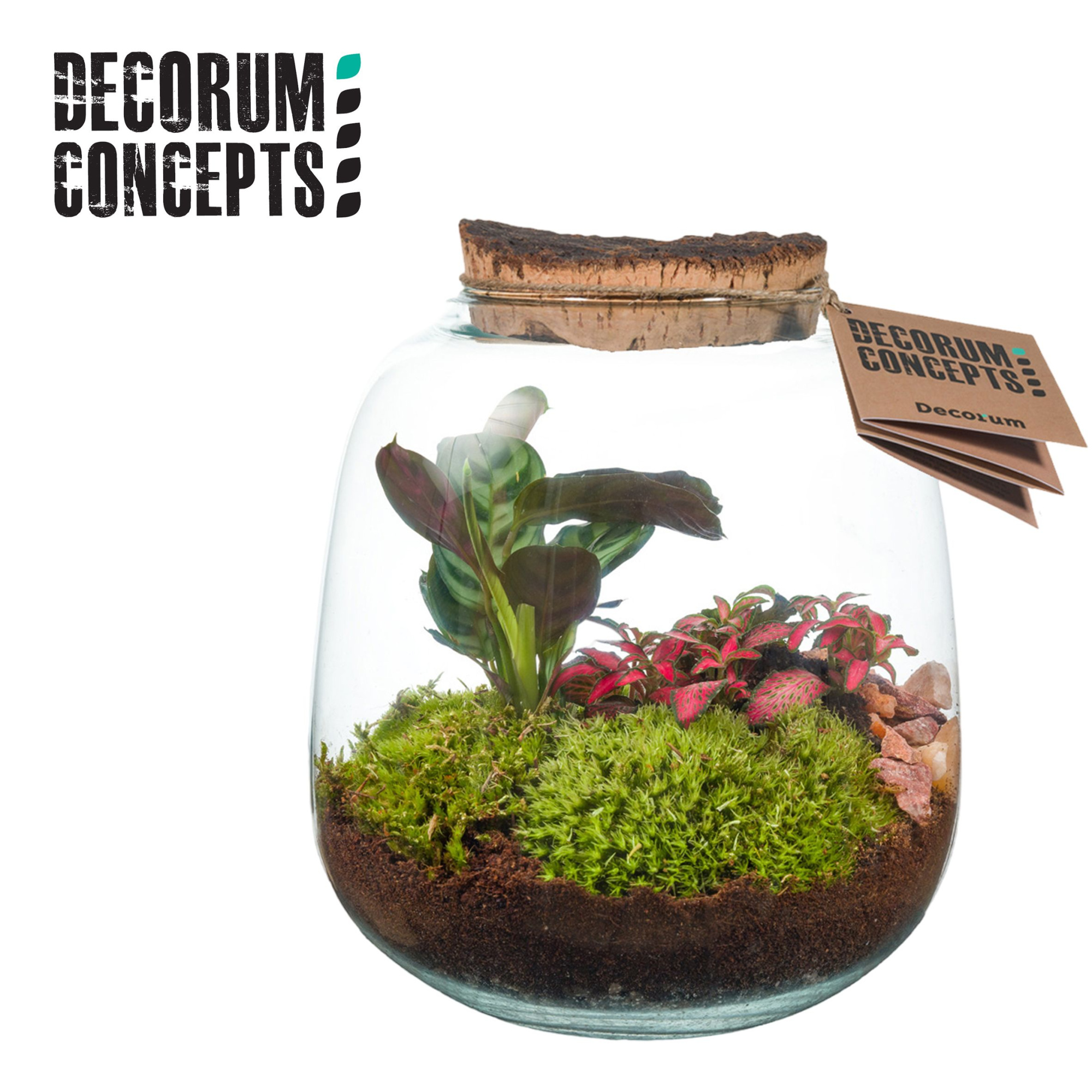 Terrarium Hyperion (Decorum concepts), D 19 cm