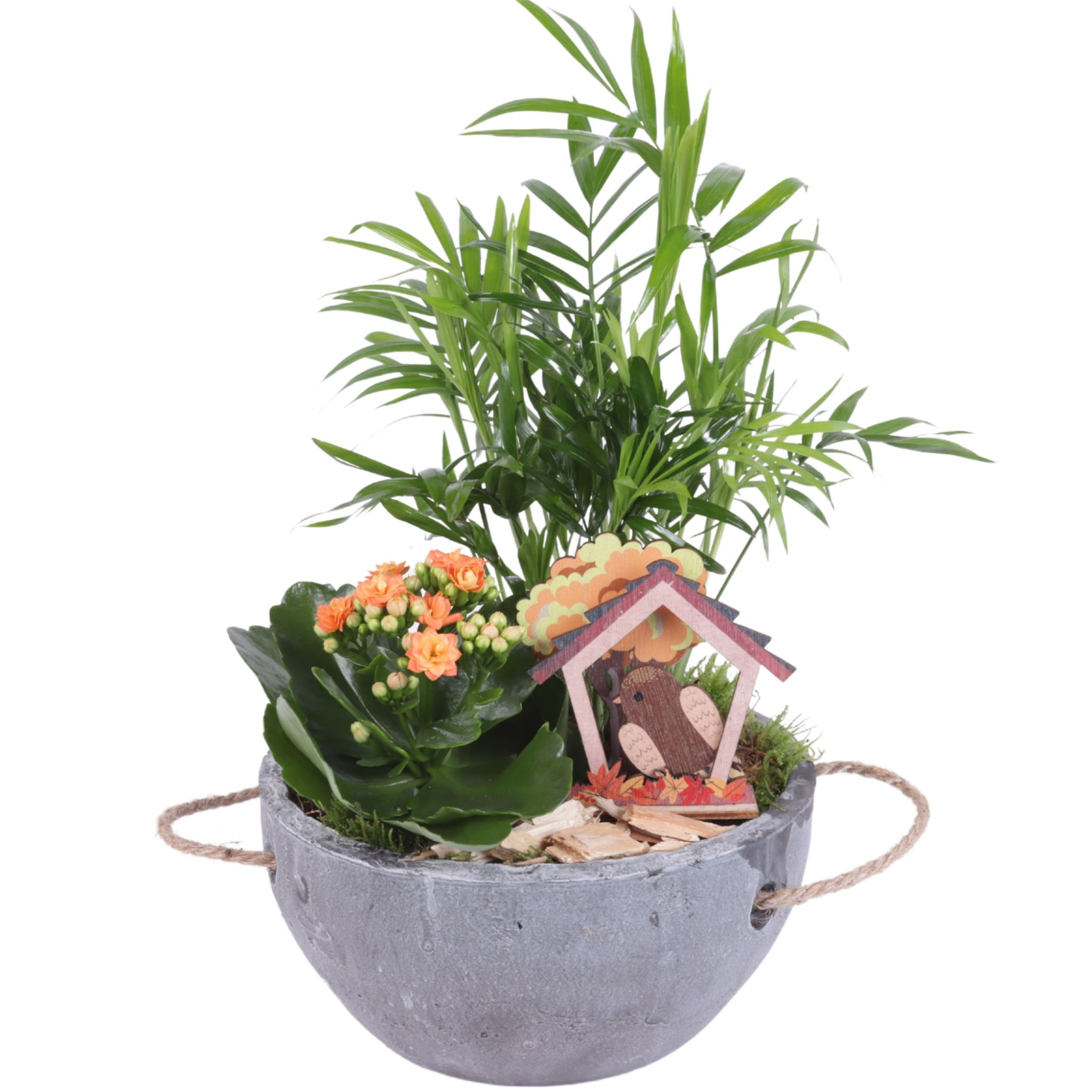 Autumn Arr. Indoor Ceramic Pot with Rope Handle Ø20cm 2PP, D 20 cm