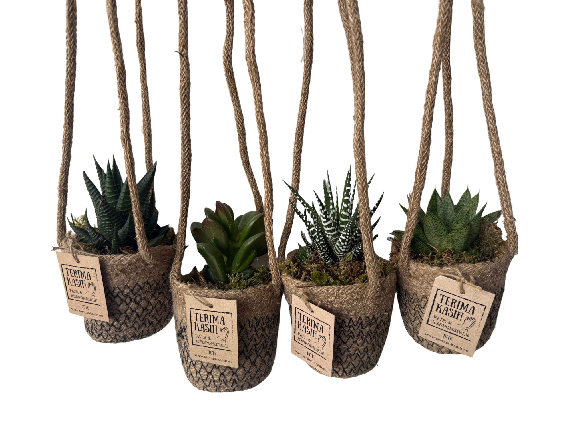 JH8GEM mini Jute HangMandje mini Succulentmix, D 8 cm