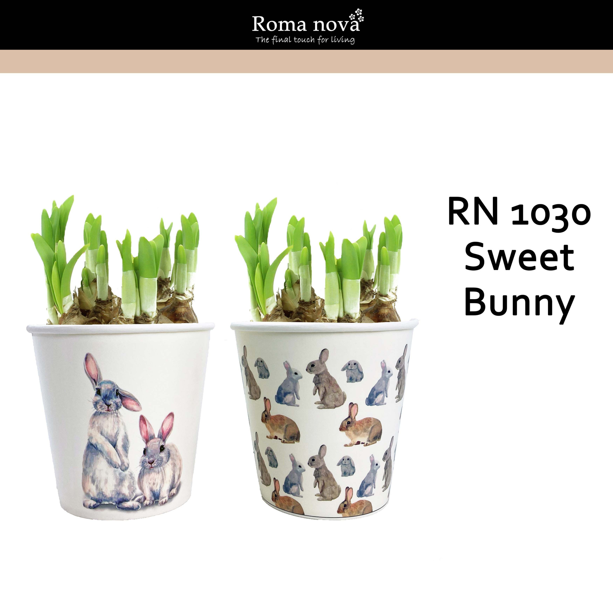 1030 - Sweet Bunny (Tete a Tete), D 12 cm