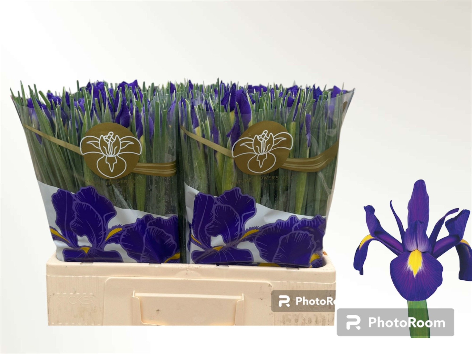 Ирис Блю Мэджик (син.), шт.