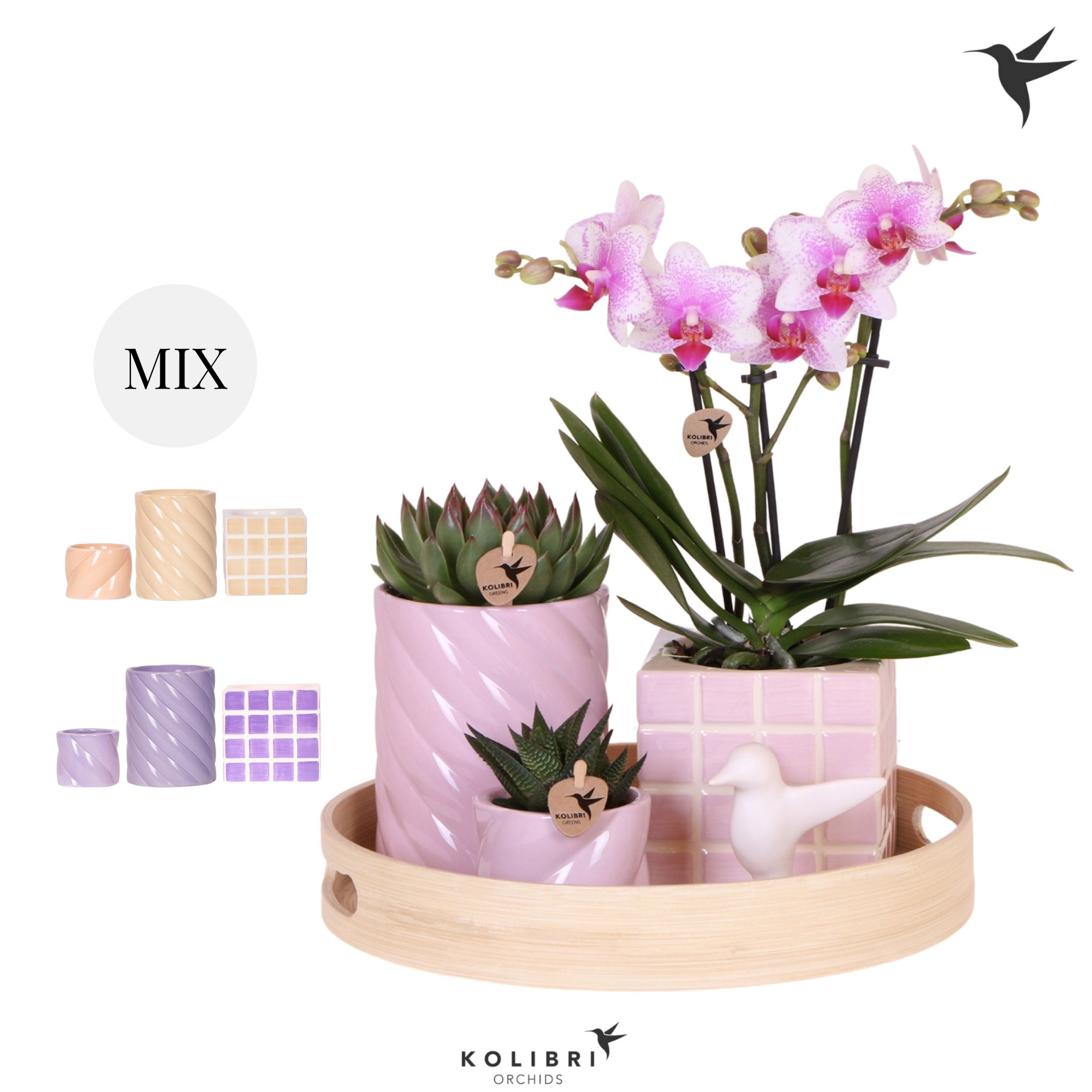Kolibri Gift Set Optimism, D 30 cm