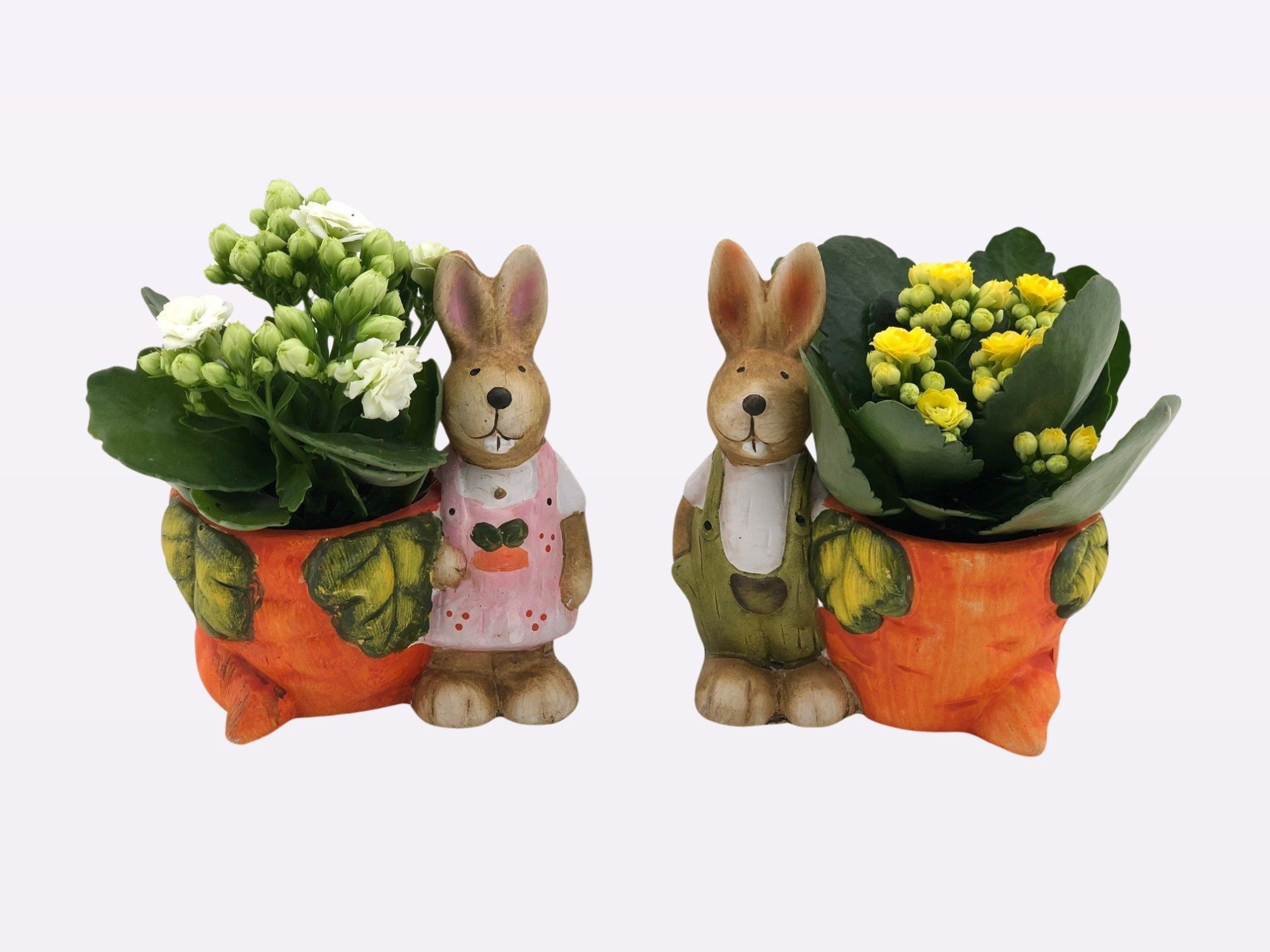 TDM PASEN 26 : P6 Konijn met kalanchoë, D 6