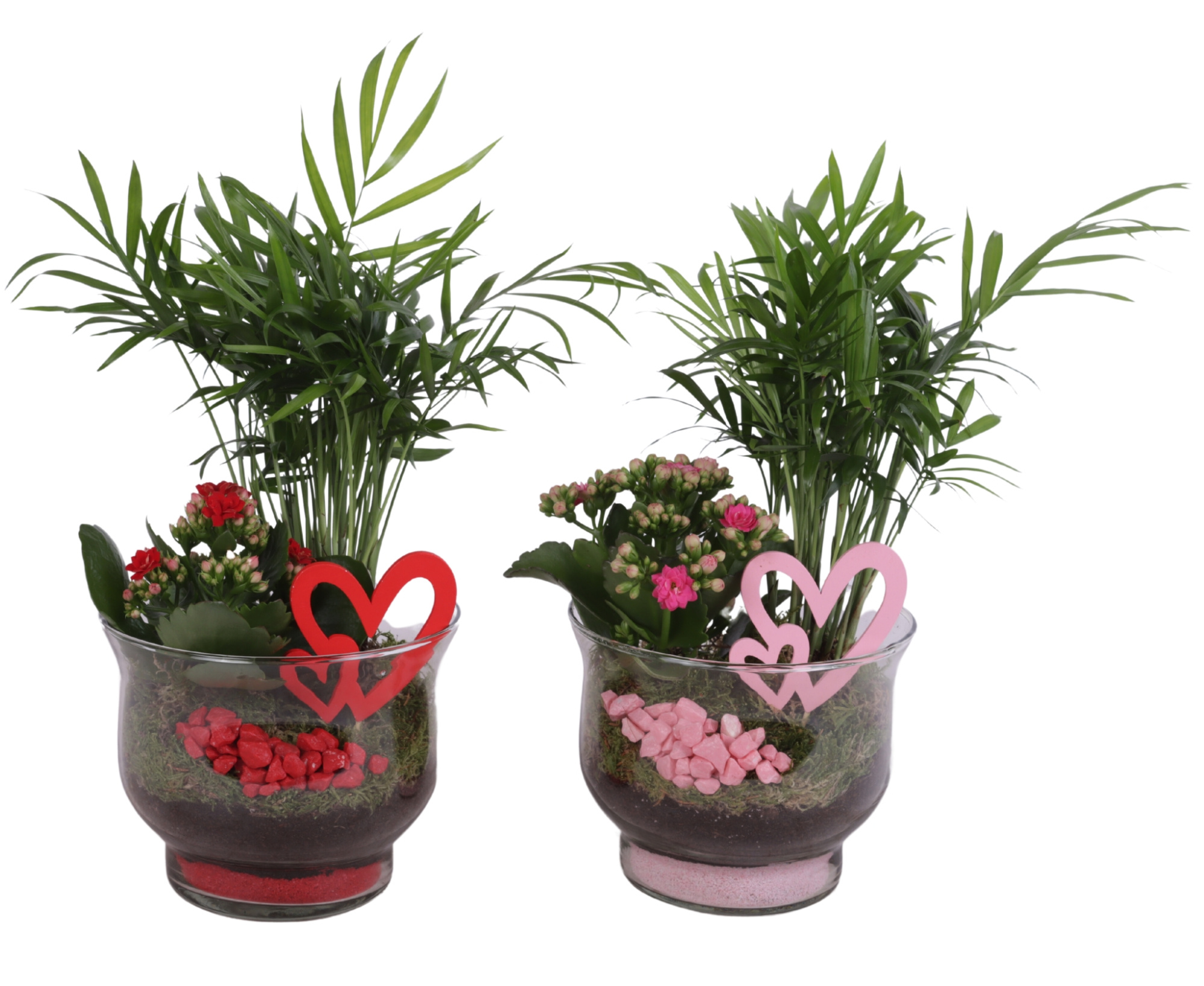 Valentine Arr. Indoor Glass Tulip Vase Ø16cm 2PP, D 16