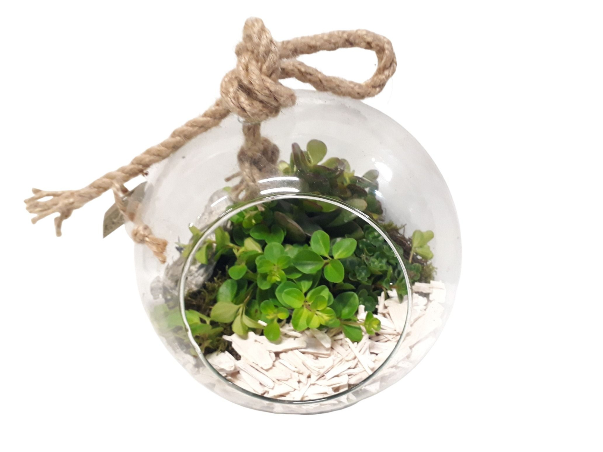 911 Bolglas + hangtouw mini groenmix, D 20 cm