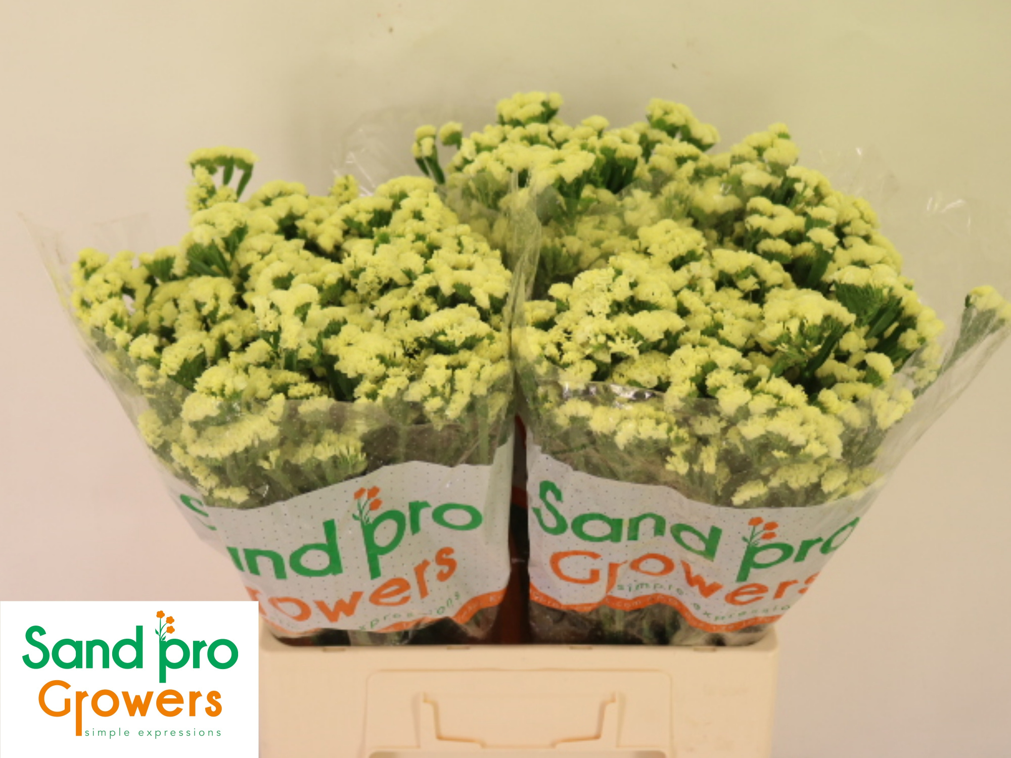 Статица Старлайт Вингз 60, шт.