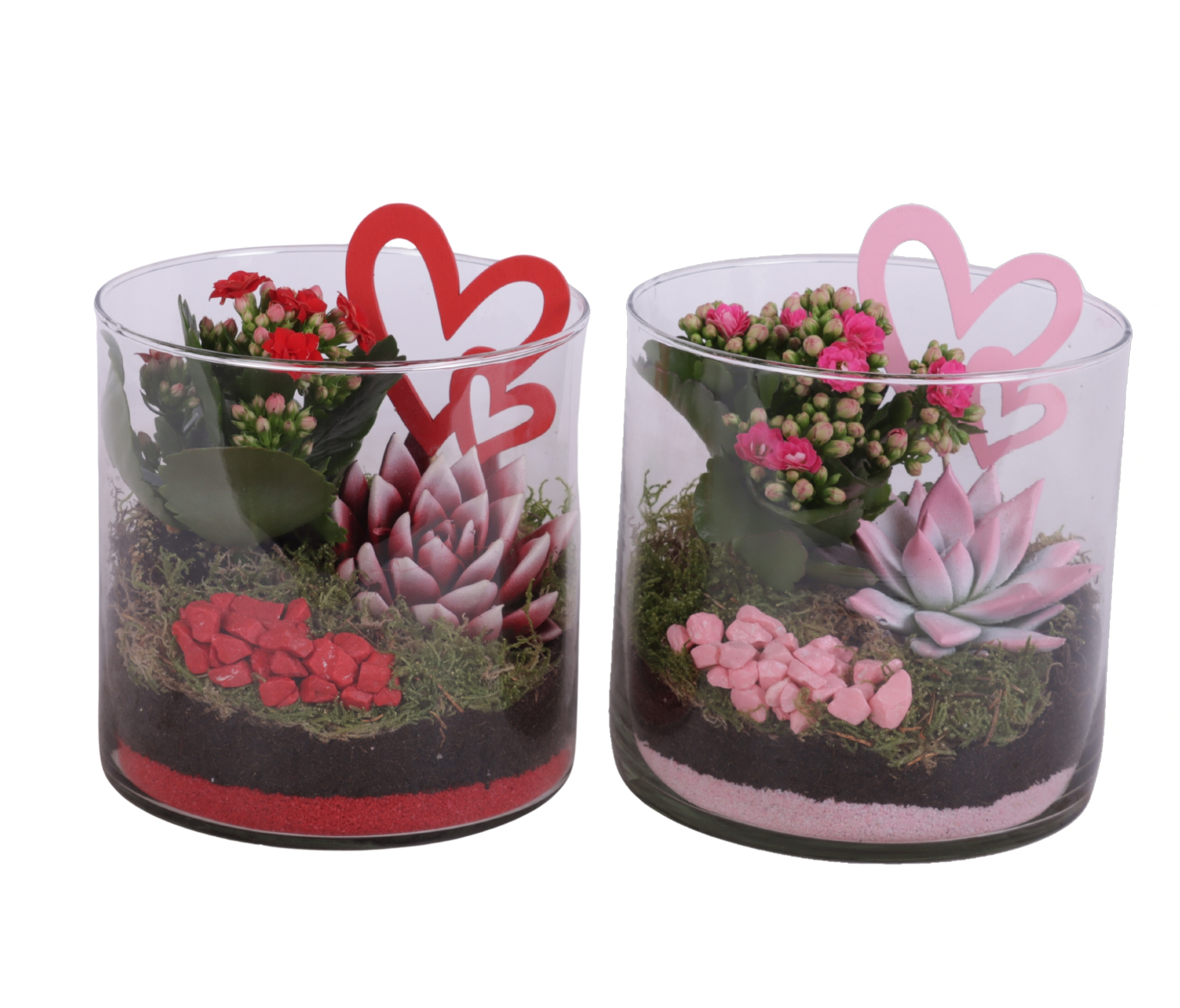 Valentine Arr. Indoor Glass Vase Cylinder Ø15cm 2PP, D 15