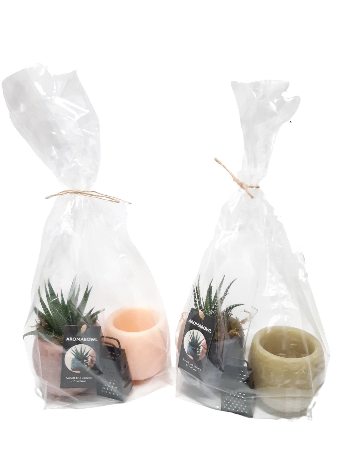 Aromabowl giftpack Haworthia, D 16 cm