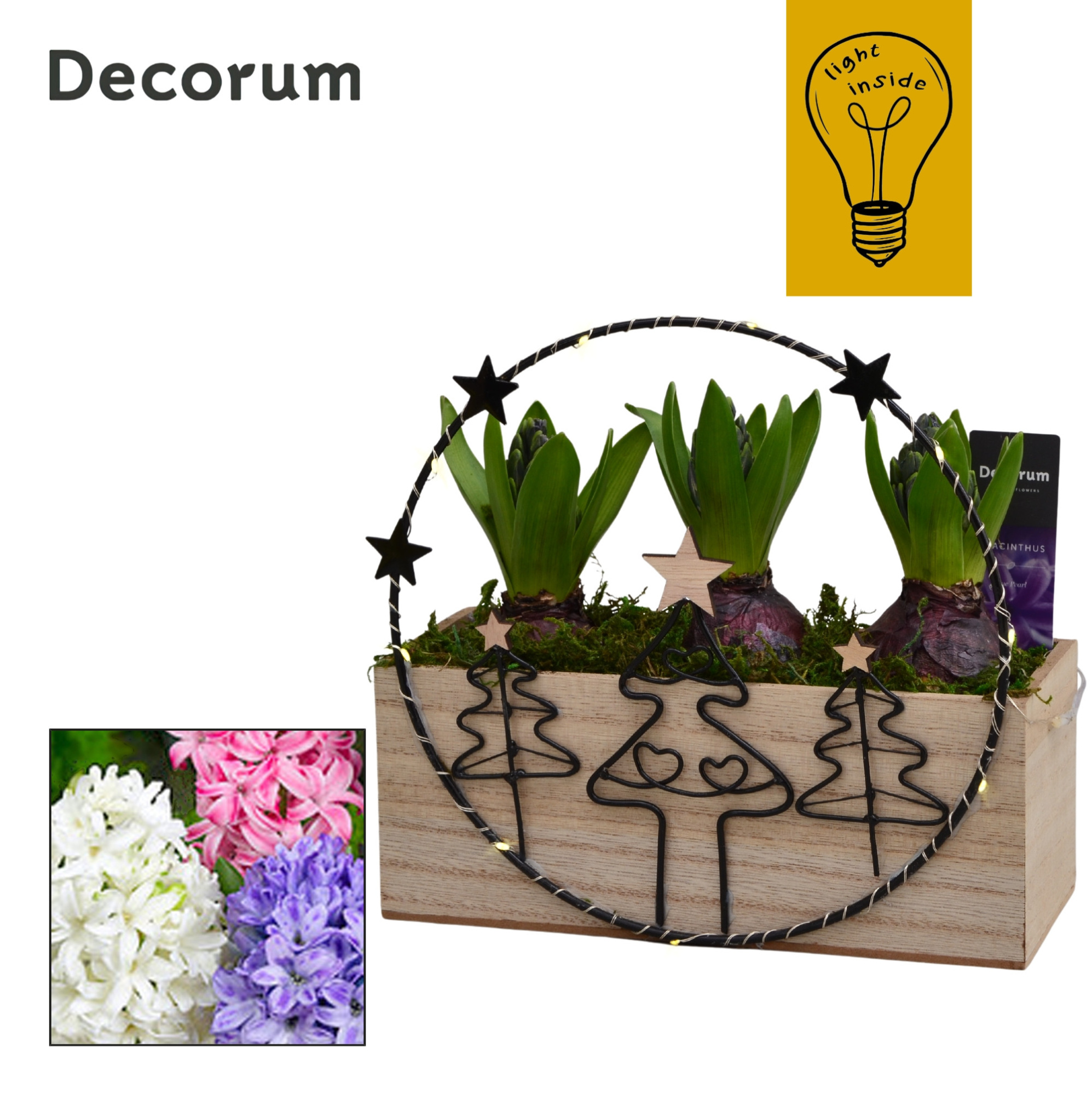 Hyacint KerstCirkel HL45312 [CHRISTMAS LIGHT], D 21