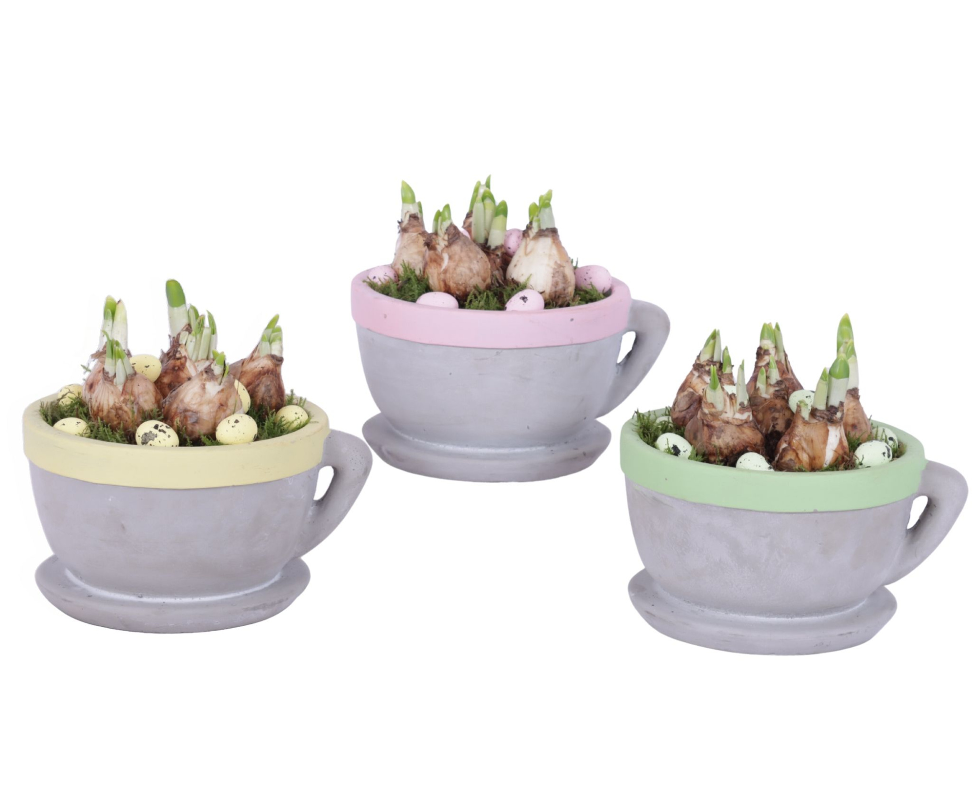 Easter Arr. Narcis Ceramic Cup And Saucer Colored Rim Ø19cm, D 19