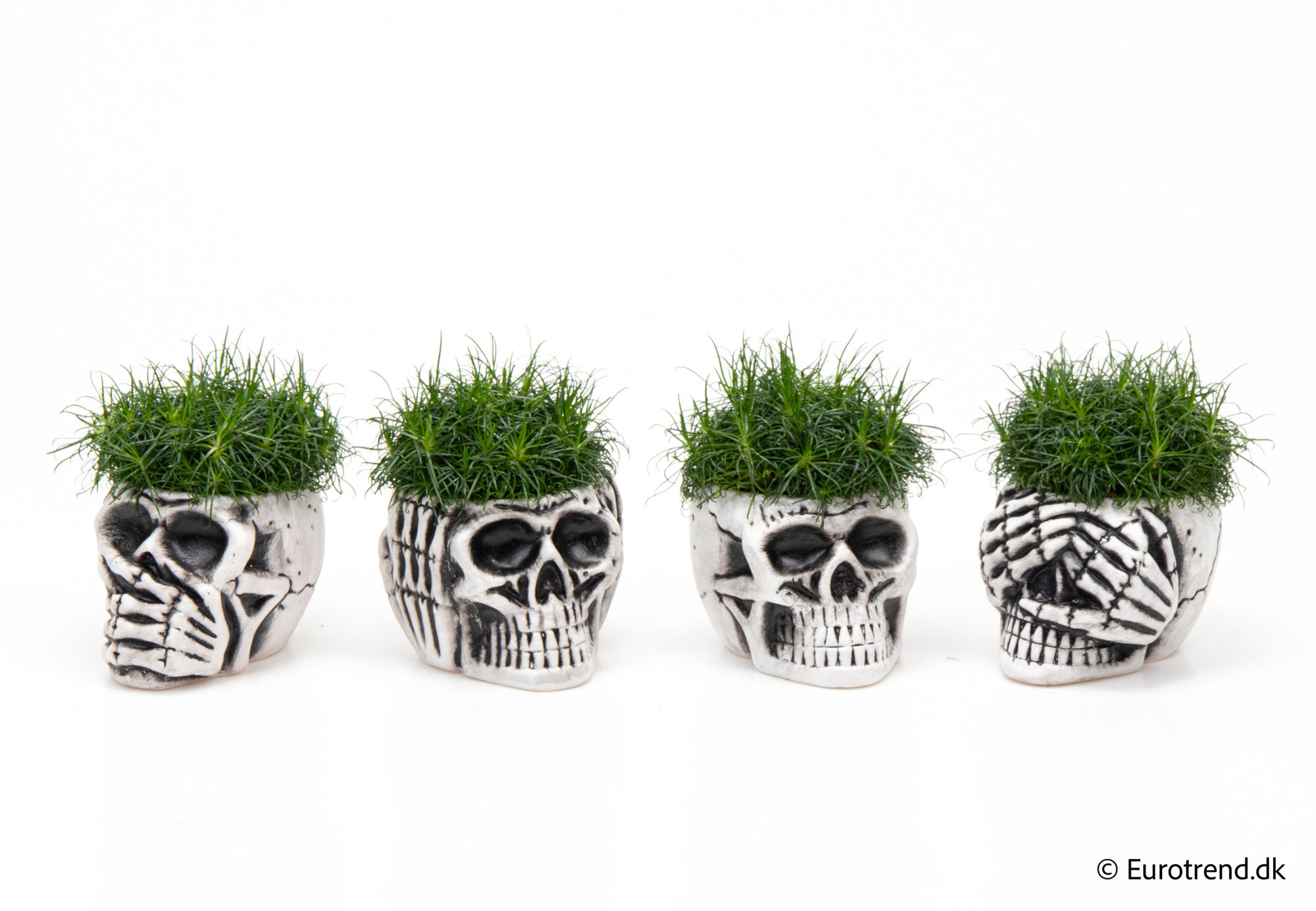 Sagina in Halloween ceramic 2025, D 6 cm