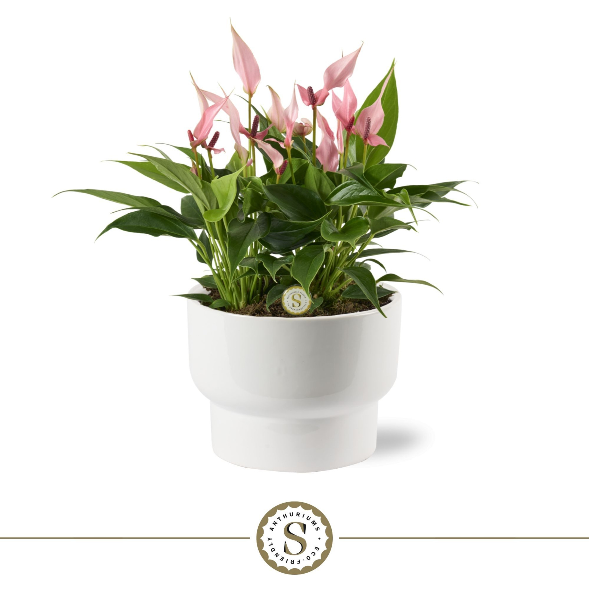 Athene Keramiek White - Lilli, D 17 cm