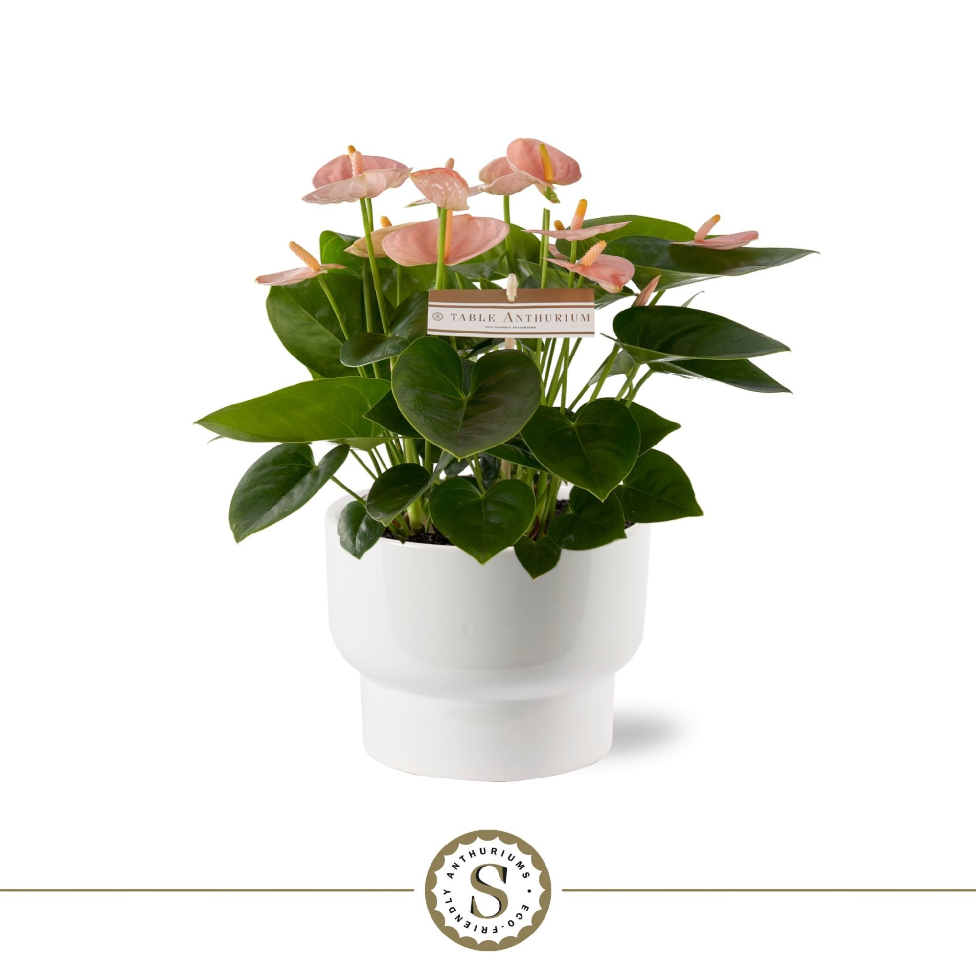 Athene Keramiek White - Spirit, D 17