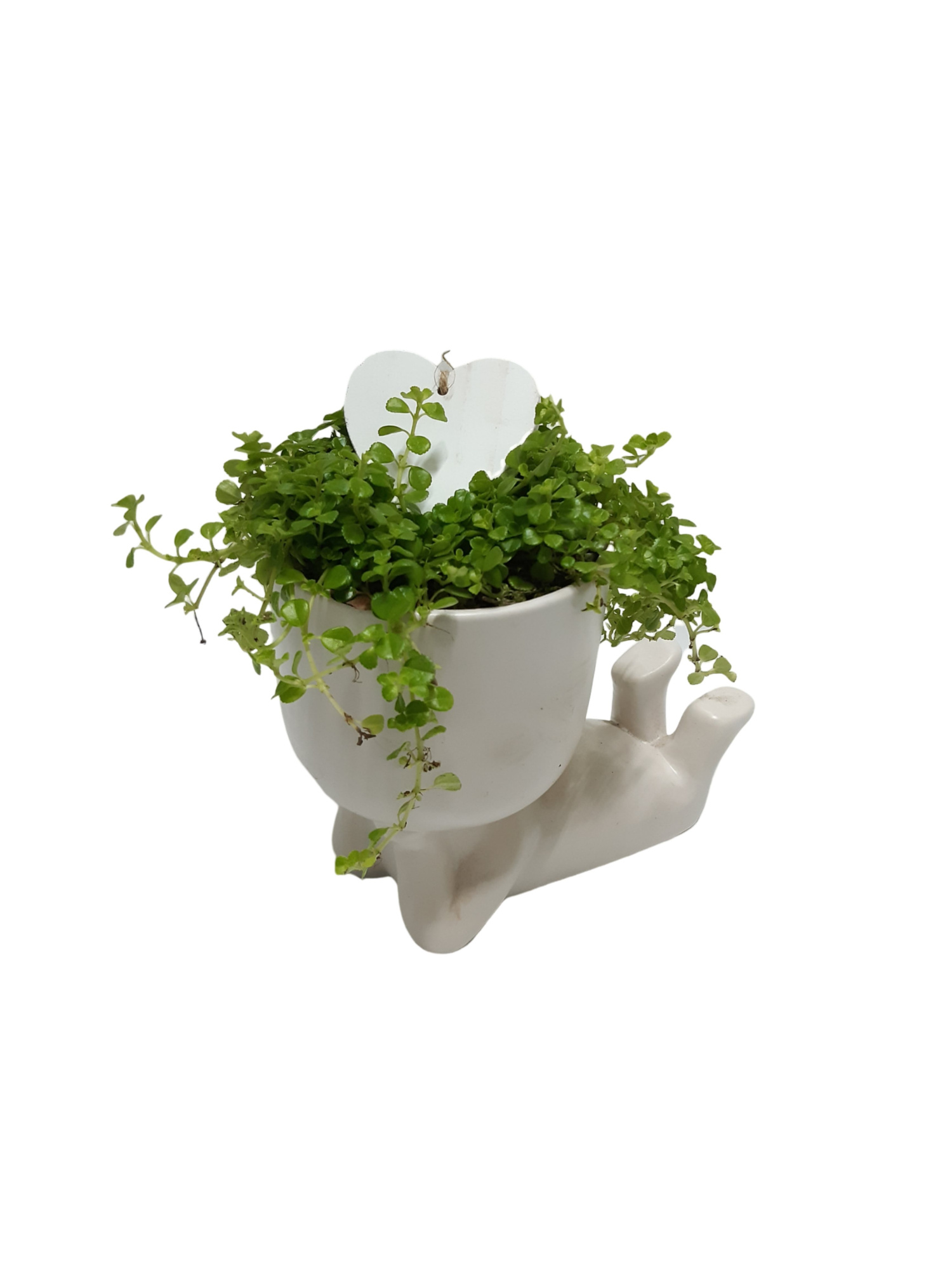 CLXL20HRT Chillings XL White 20cm Wooden Hart, D 20 cm