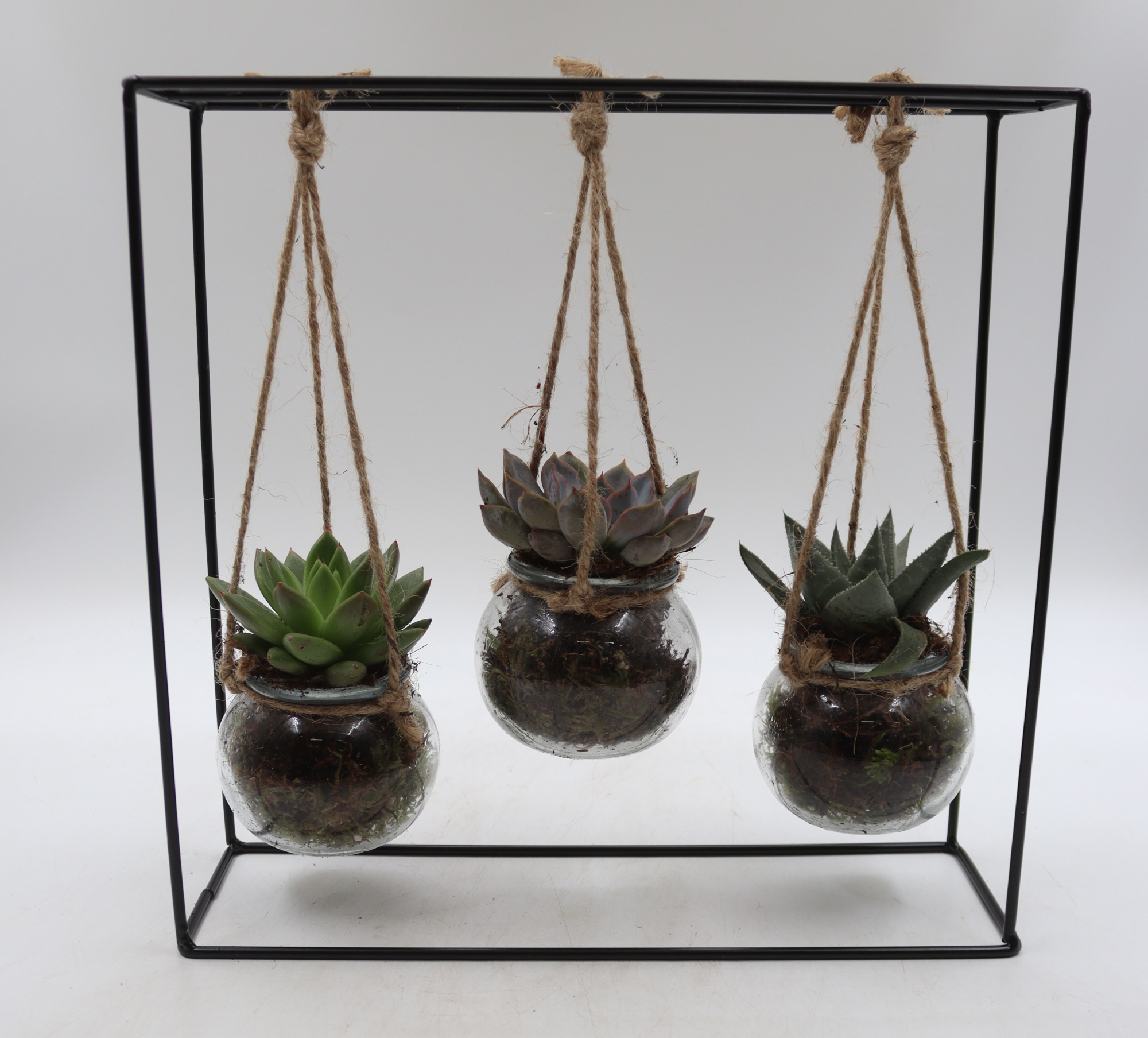 Rek zwart trio, D 30