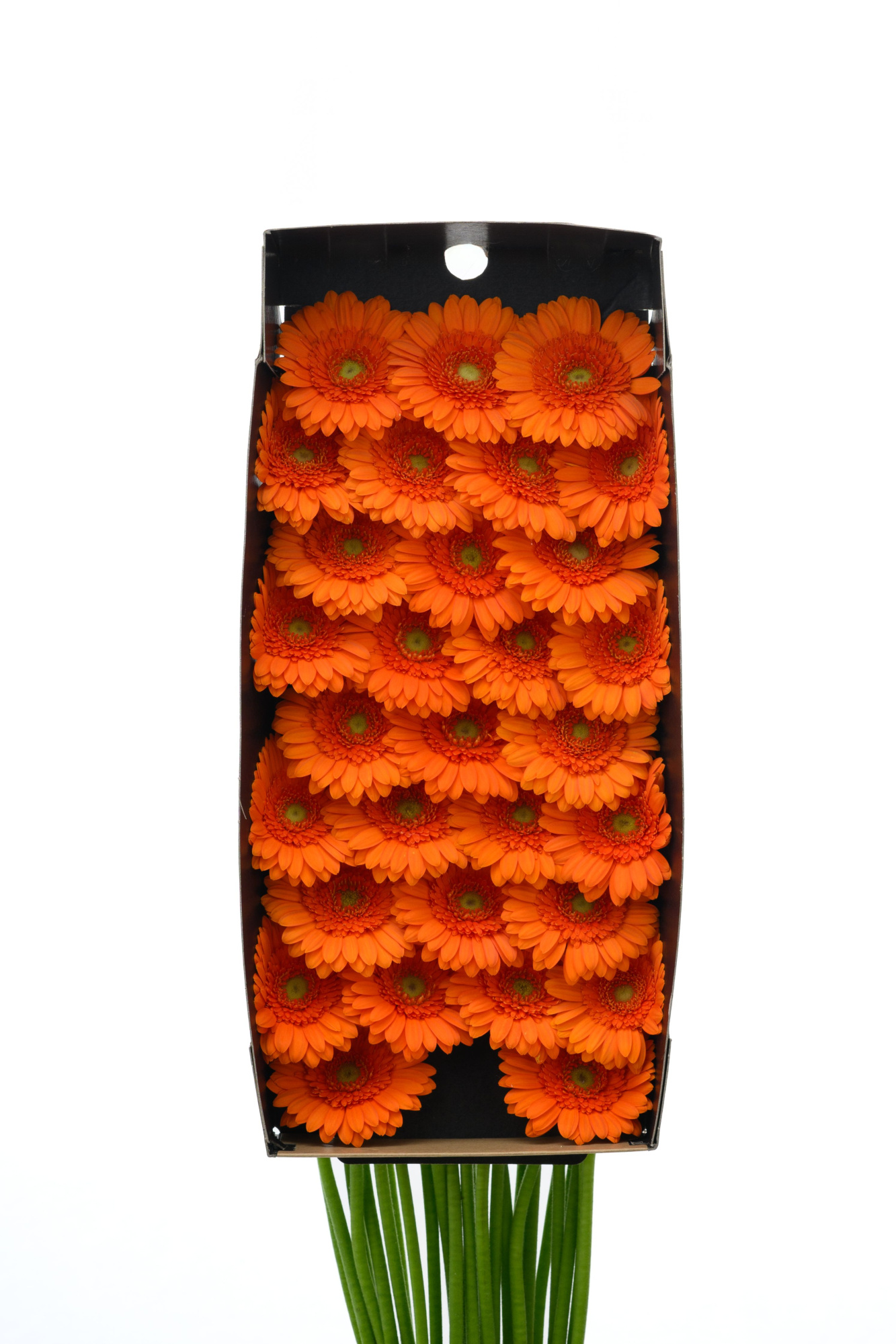 Гермини Макс x60, шт.