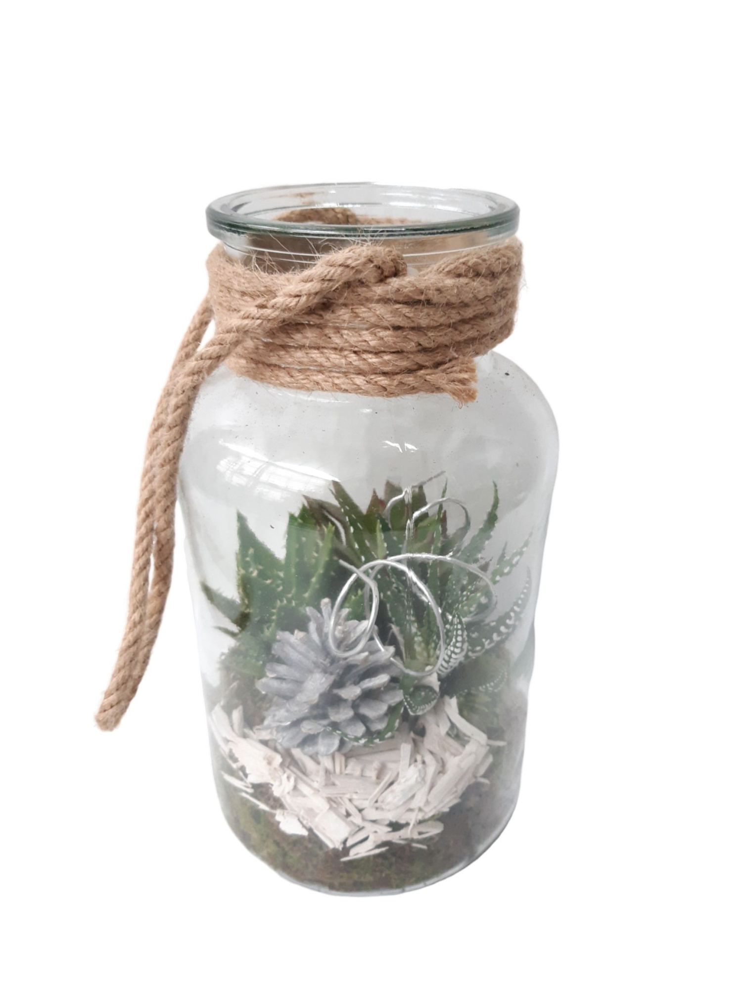 714 KST Fles / Terrarium 14/26 mini Succ.Mix Kerst, D 14 cm