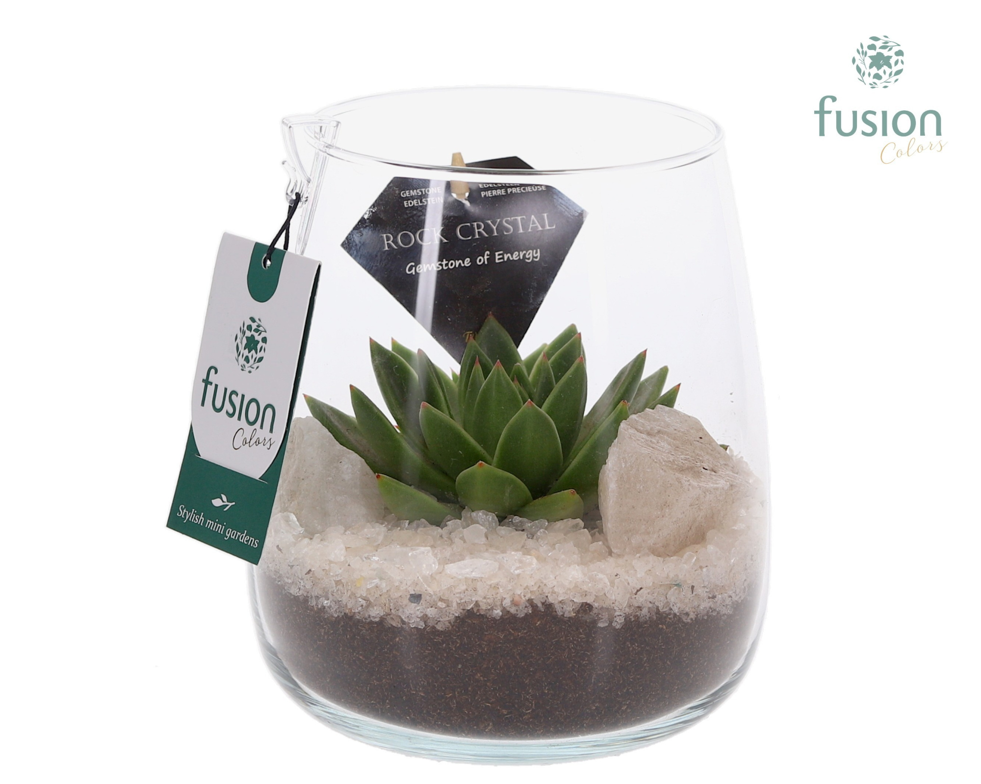 Glazen vaas met Edelstenen met Succulenten, D 14