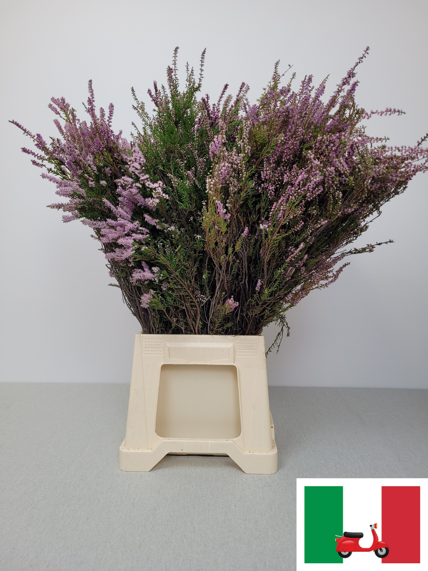 Эрика Овериг за пучок 60, пуч.