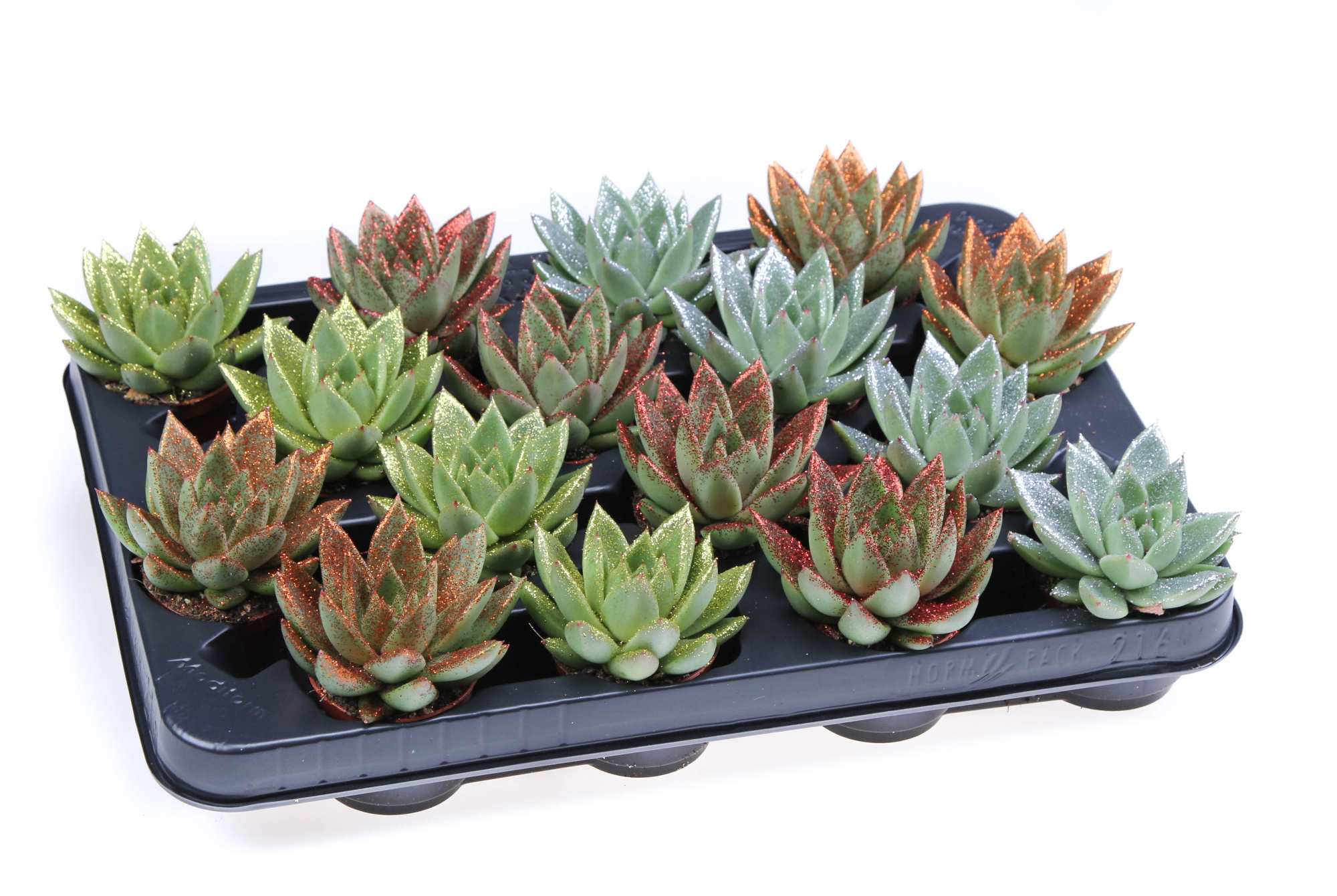 Bio miranda naturel glitter mix, D 6