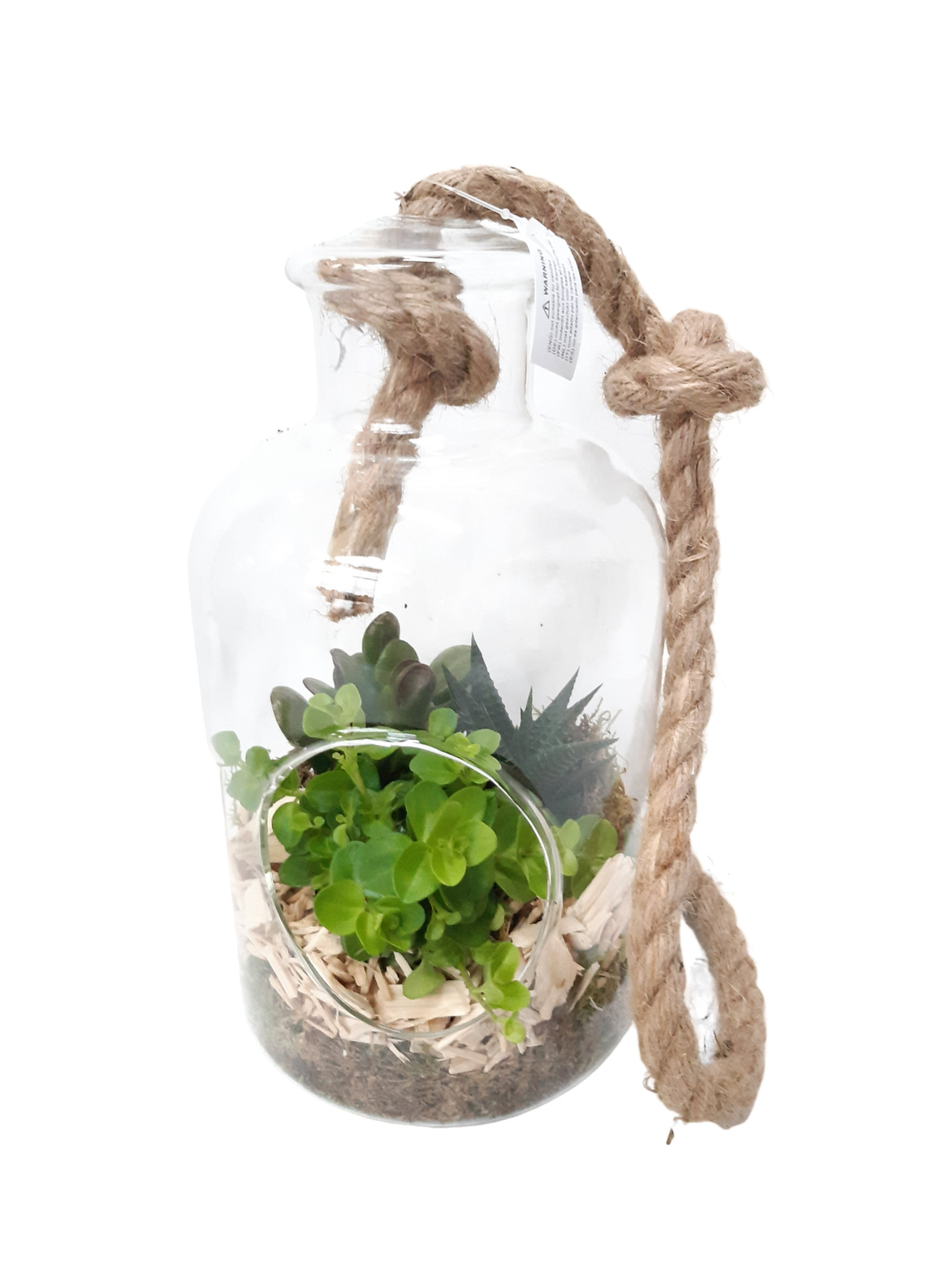 GKS16 Terrarium + touw H26 Mini Groenmix, D 14 cm