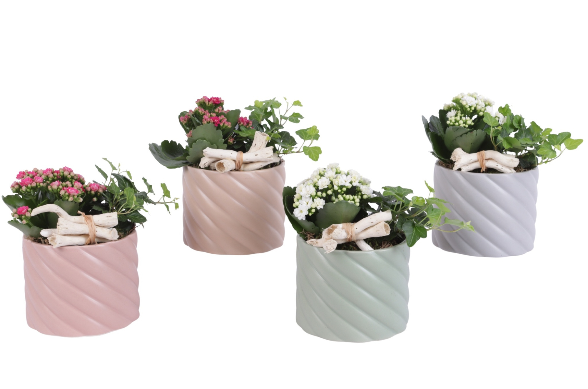 Yearround Arr. Indoor Ceramic Soft Elegance SE661 Ø14cm 2PP, D 14