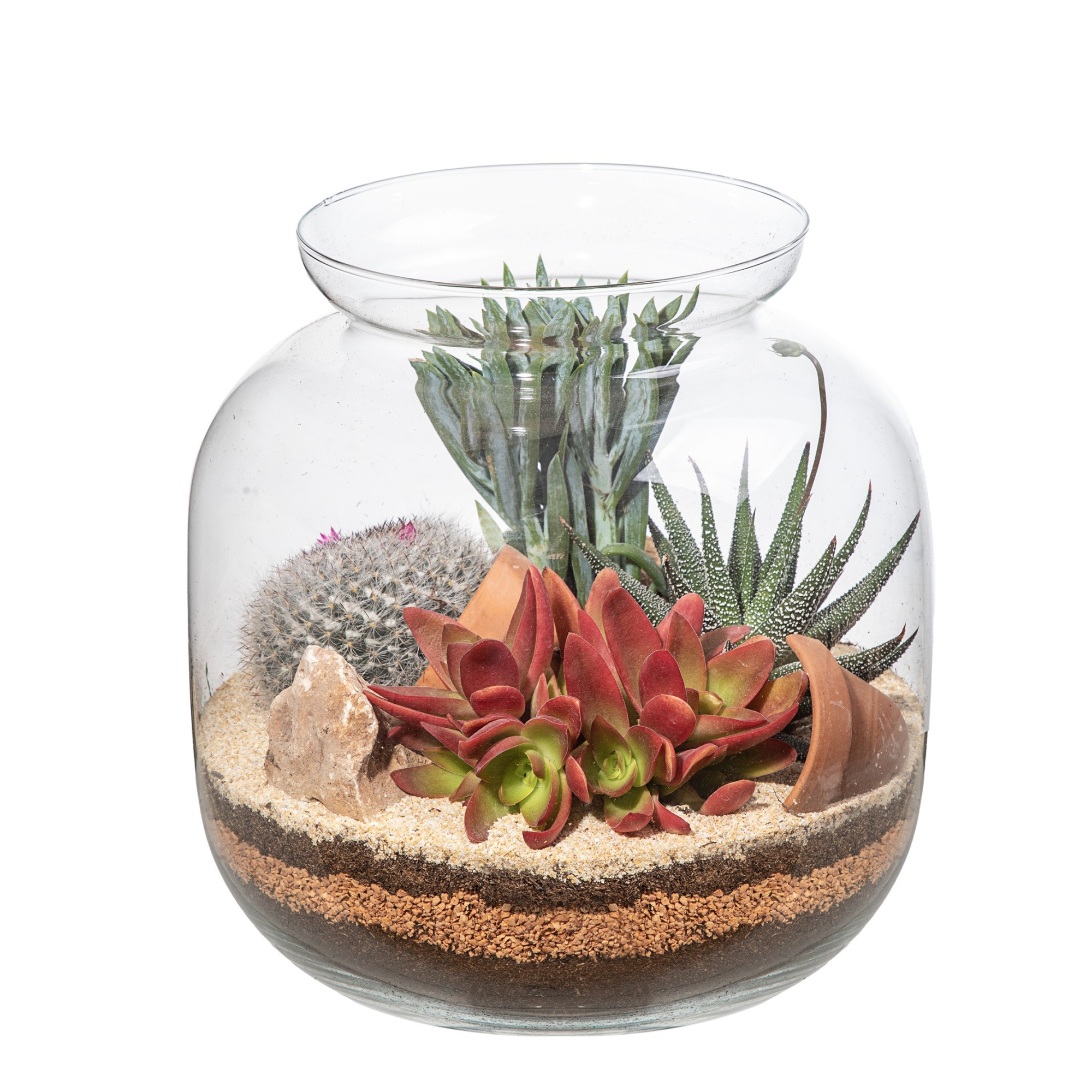 GLASS TERRARIUM Ø 24 H 25 - IN CARDBOARD BOX 24X24 CM, D 24