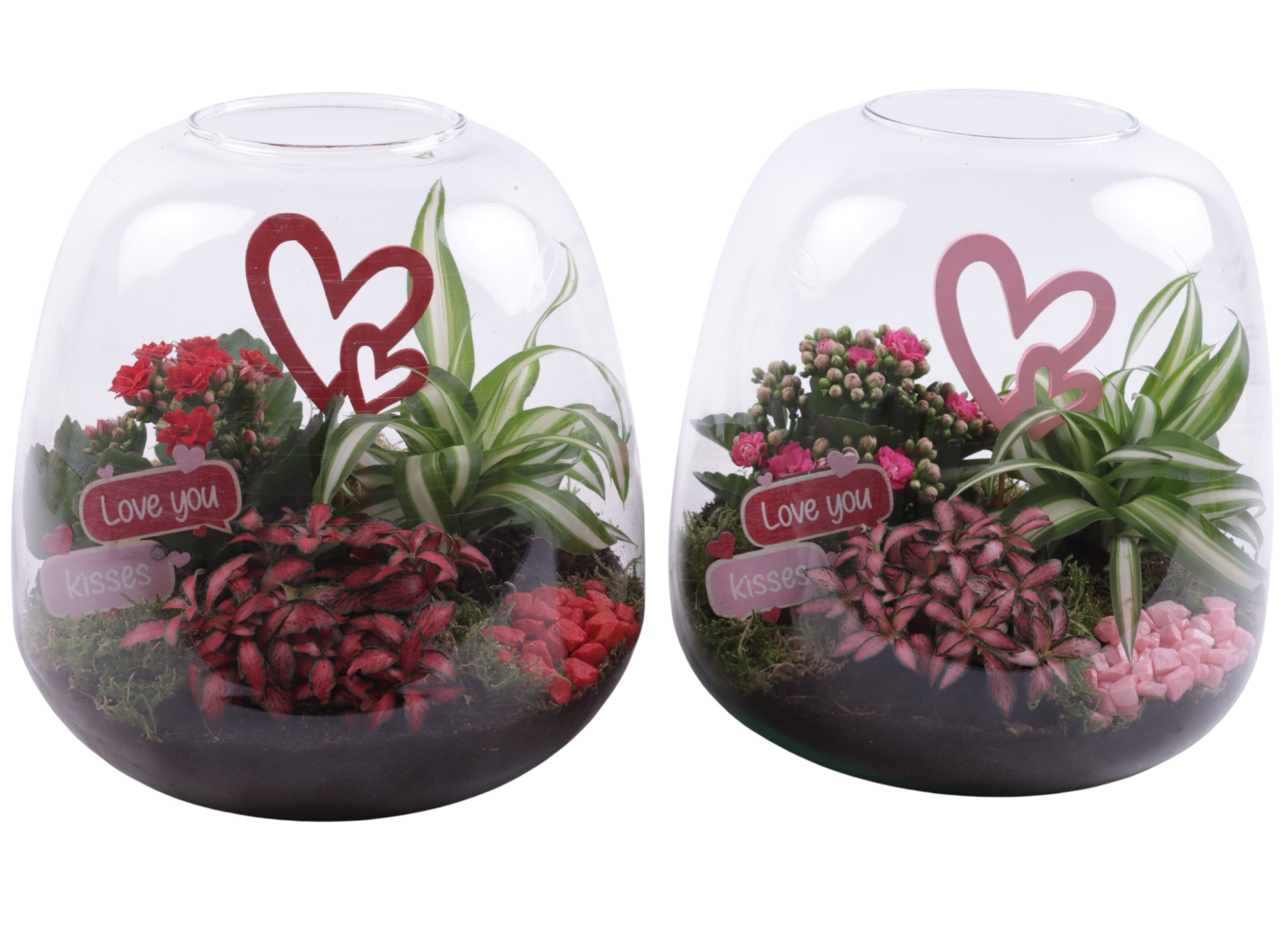 Valentine Arr. Indoor Glass Vase Terrarium Round Ø23cm 3PP, D 23