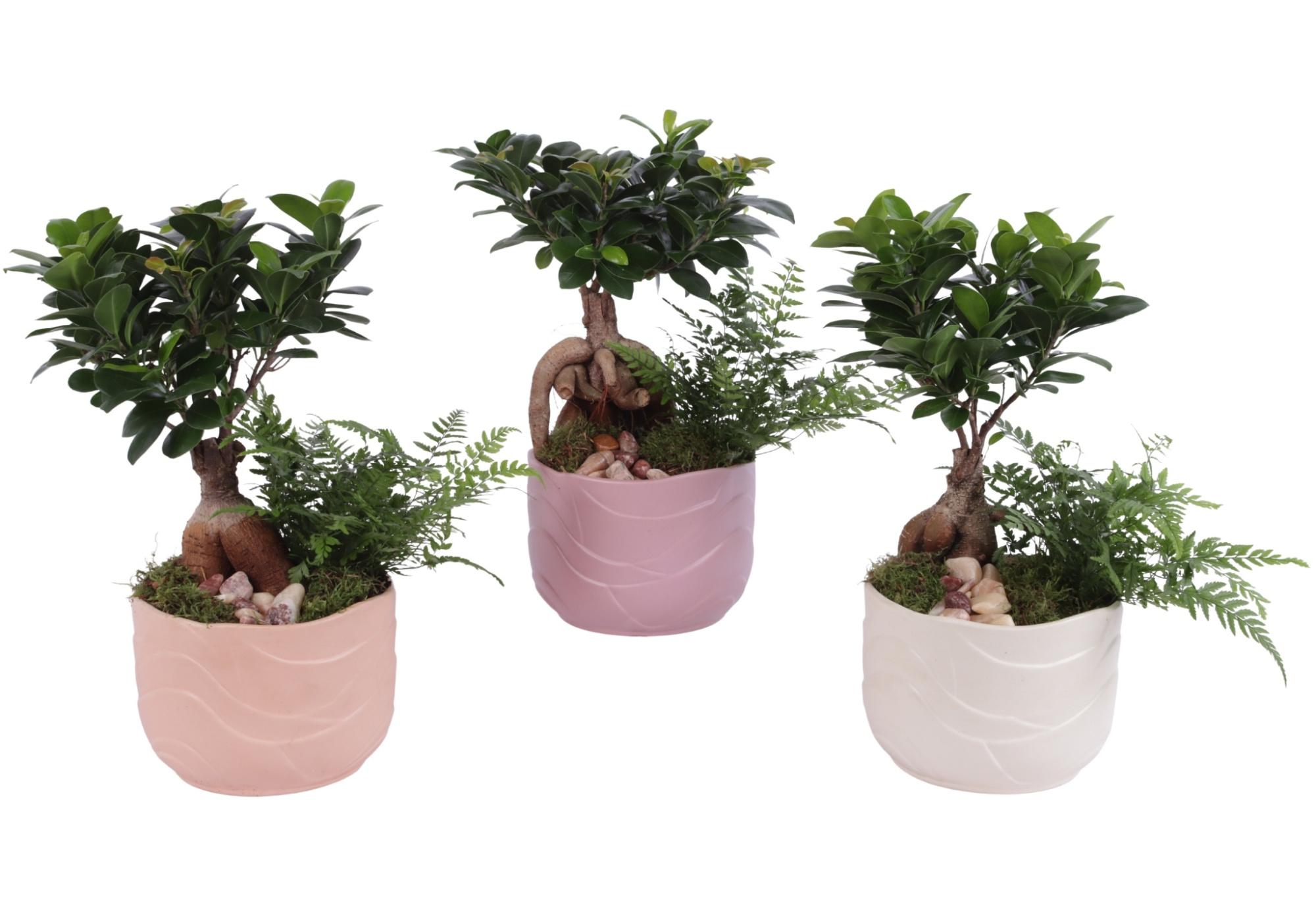 Yearround Arr. Indoor Ceramic Soft Elegance SE660 Ø17cm 2PP, D 17