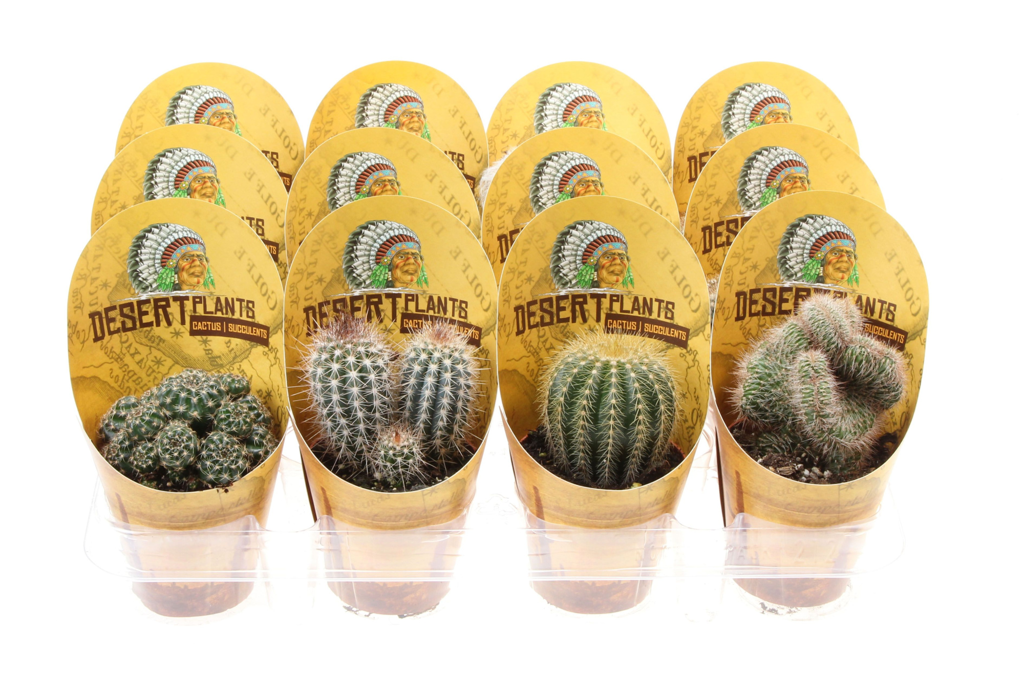 Potcover desert plants cactus hoog, D 8,5 cm