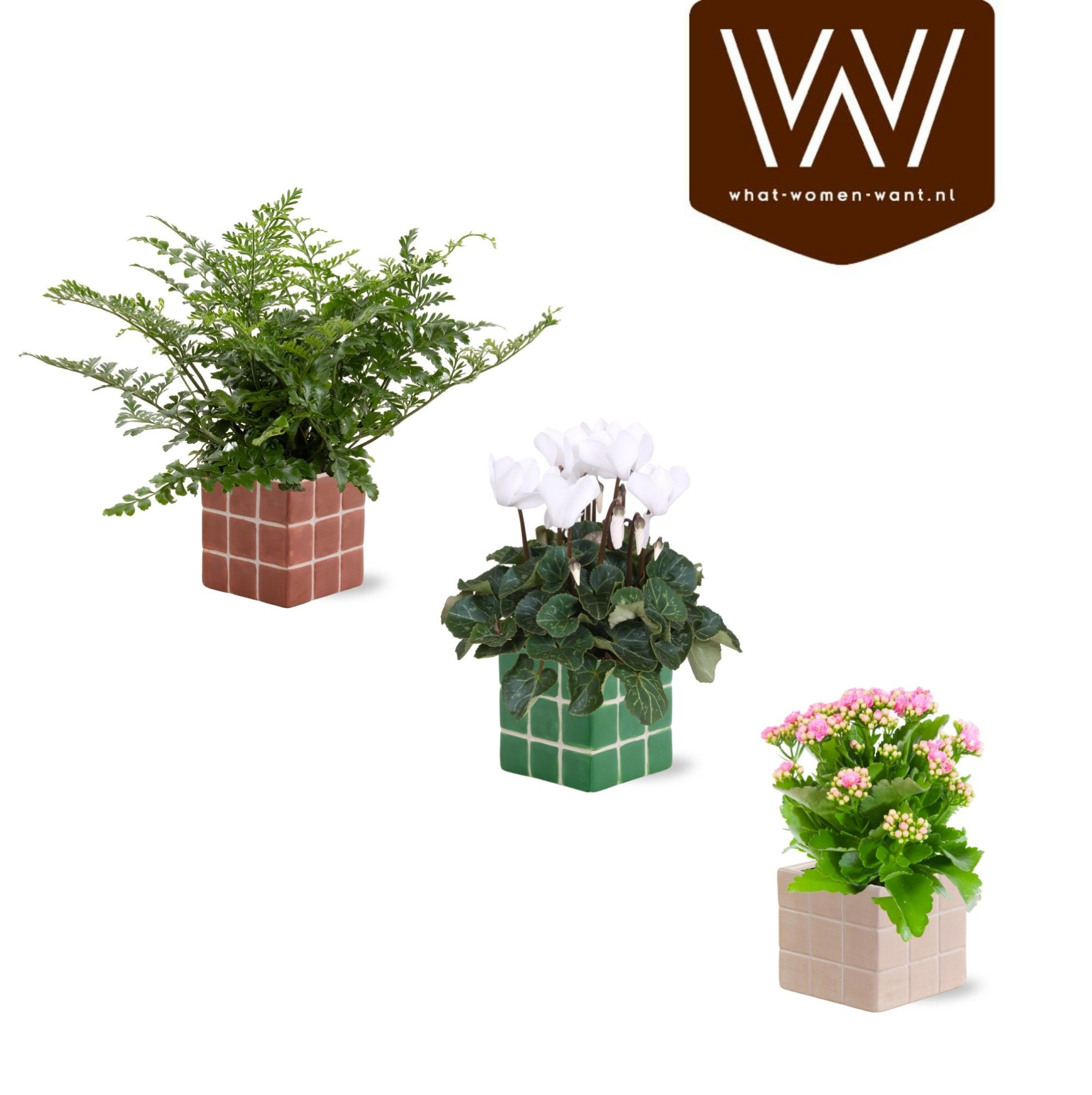 Collectie 'NaturalBubble' Bloeimix in Keramiek Pip, D 10