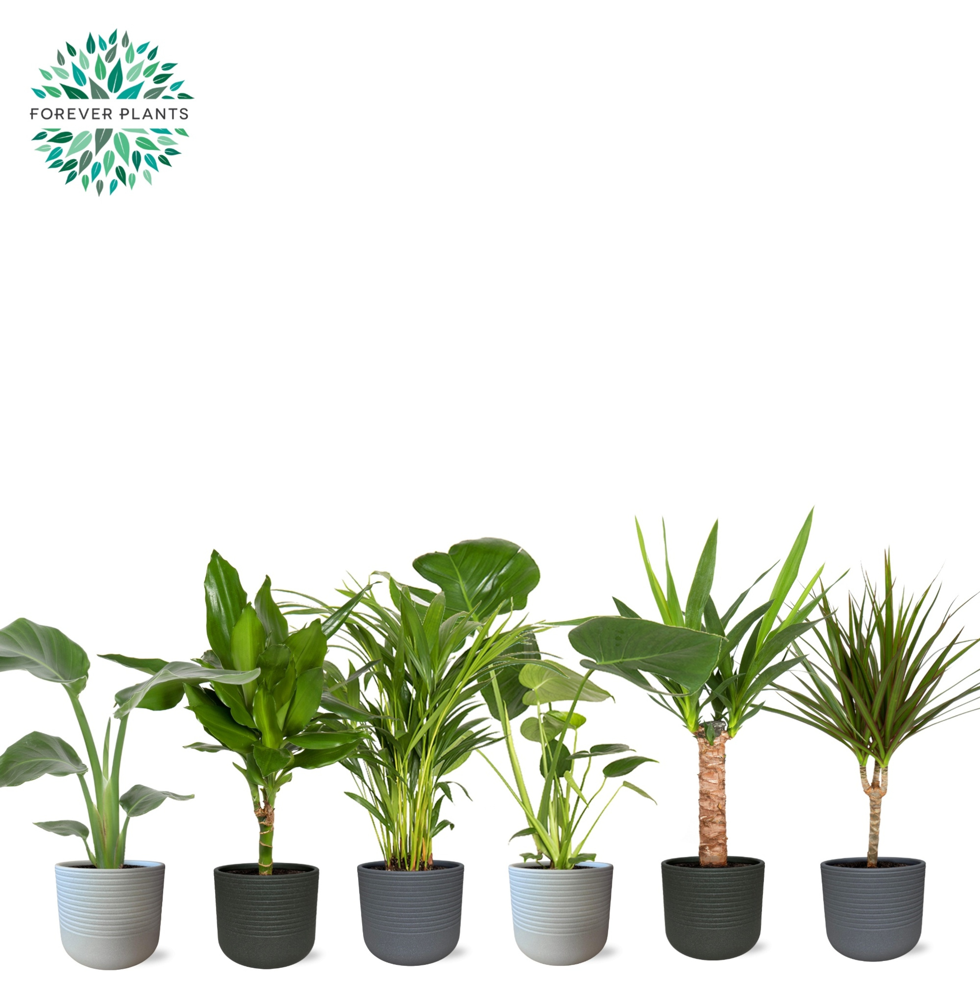 Groen Mix p14 in VIVIAN Keramiek, D 14