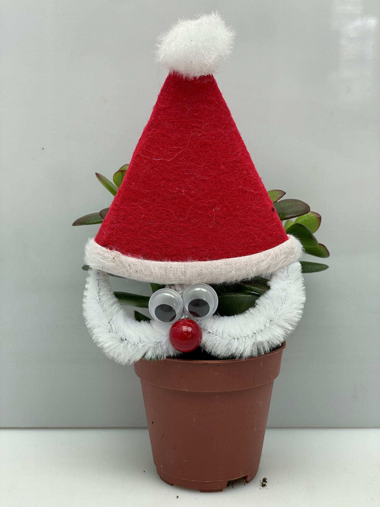 434 Kerstman vet 6,5 cm Engeland, D 6,5 cm