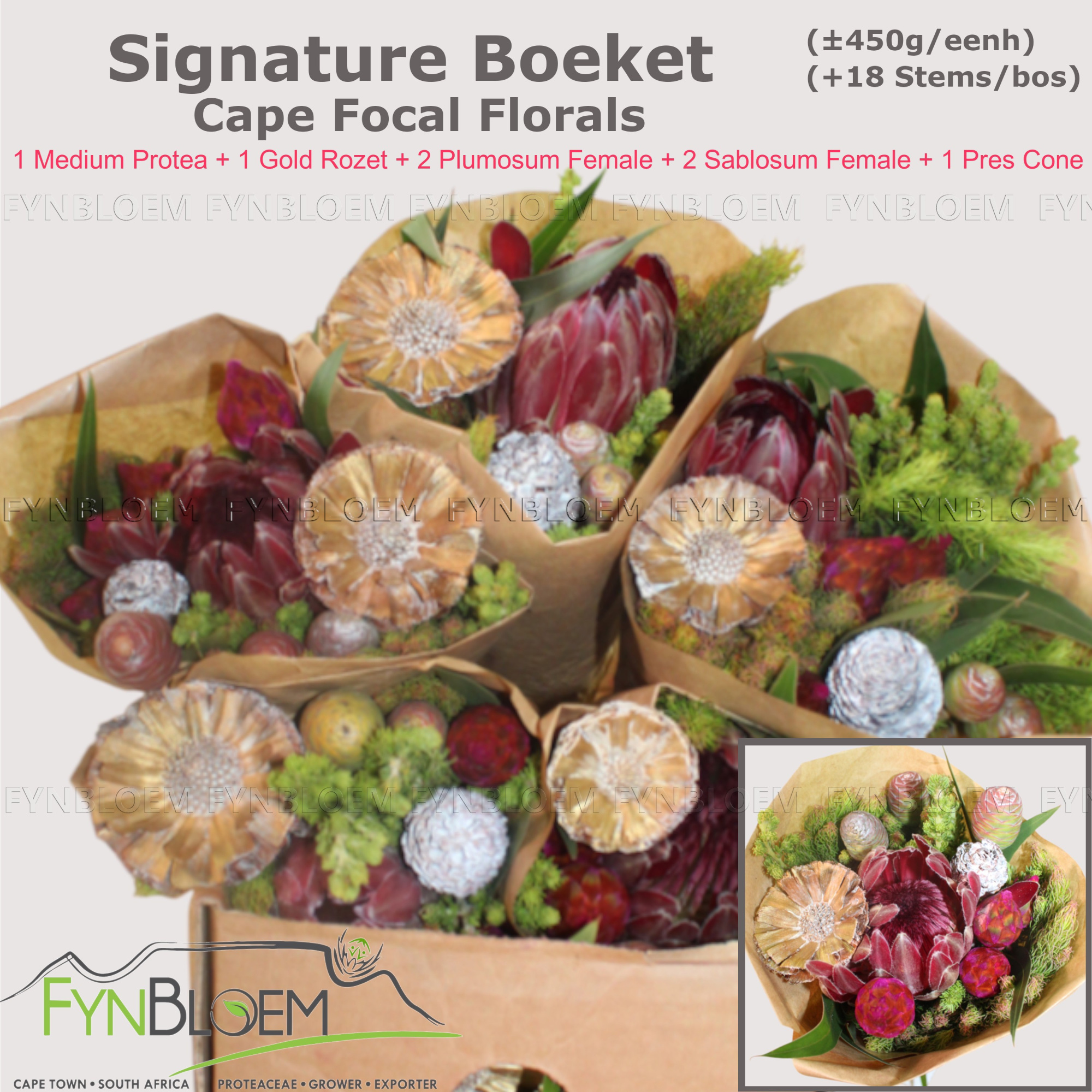 Протея Овериг за пучок 40, пуч.