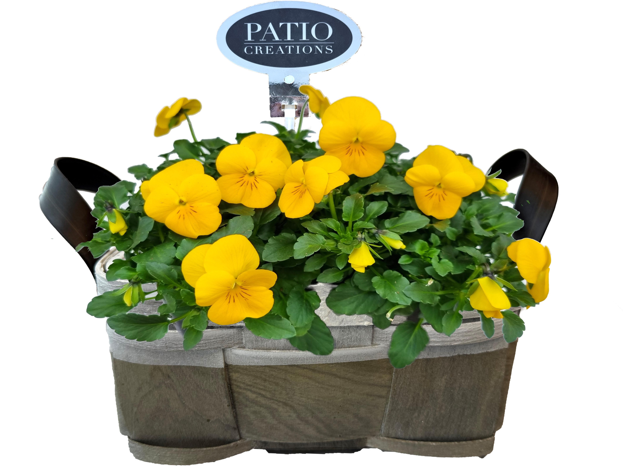 V825-9001 Viola Fenna lederlook handvat S, D 21 cm