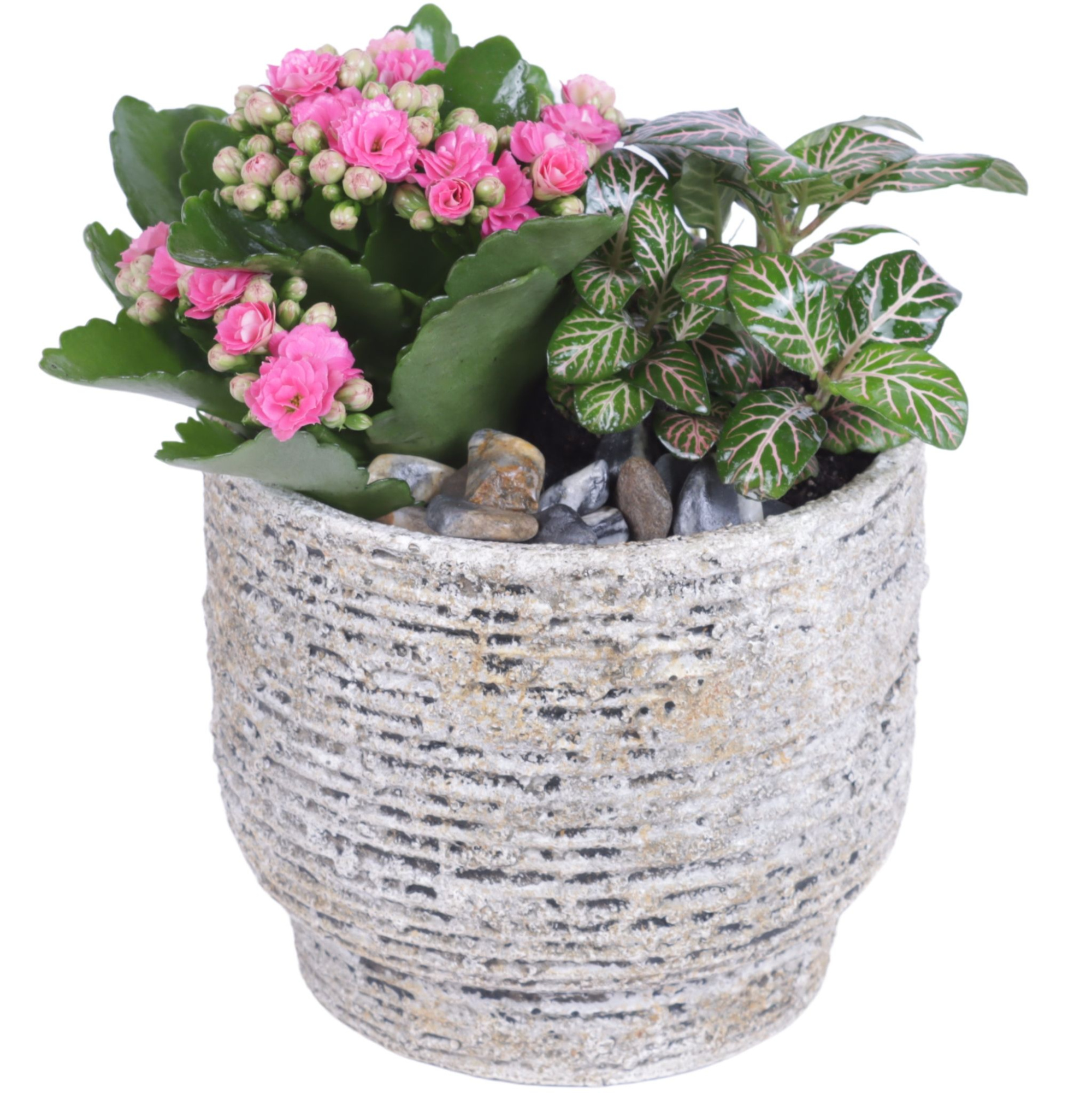 Yearround Arr. Indoor Ceramic Naturel Touch N567 Ø14cm 2PP, D 14 cm